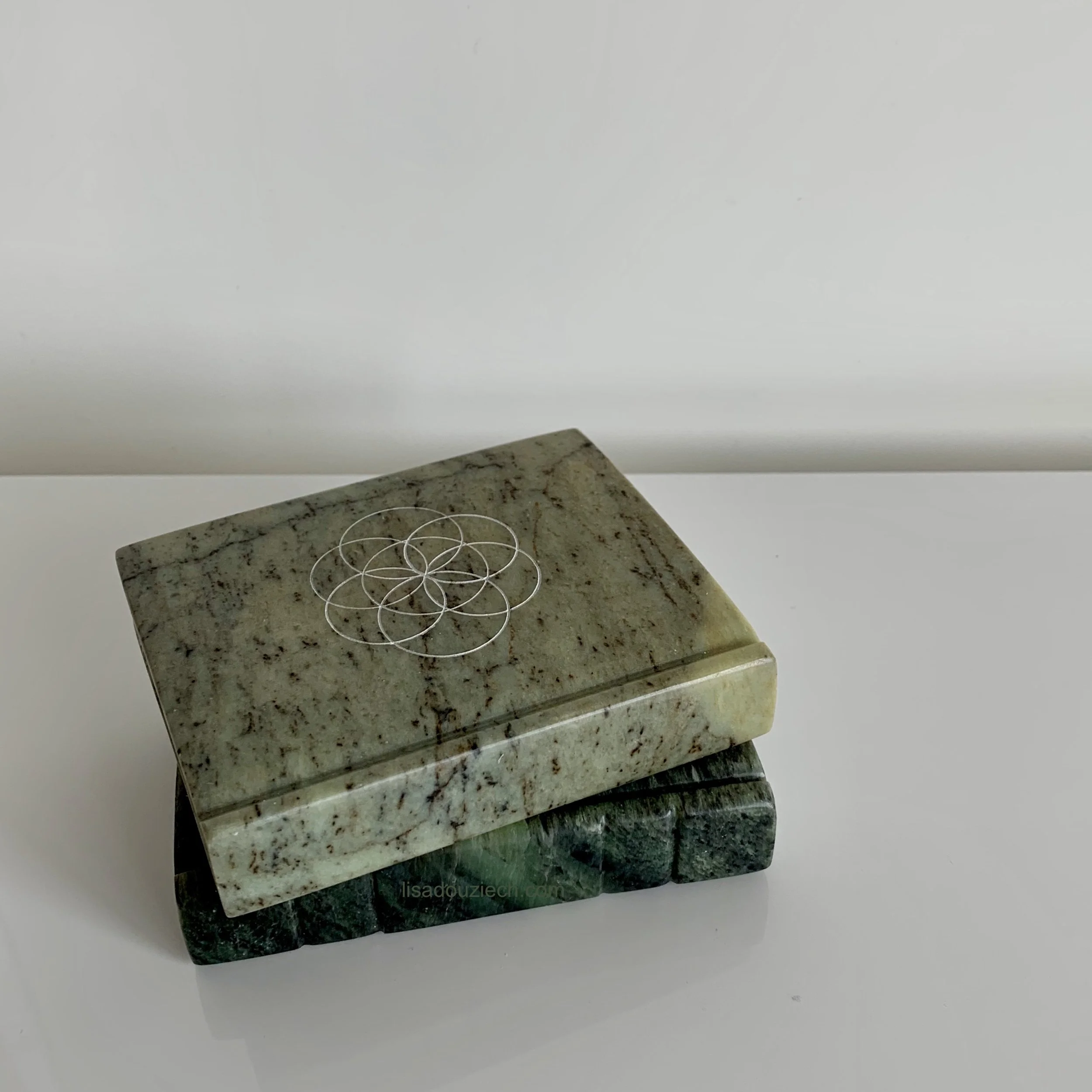 Book - Soapstone, by Lisa Douziech