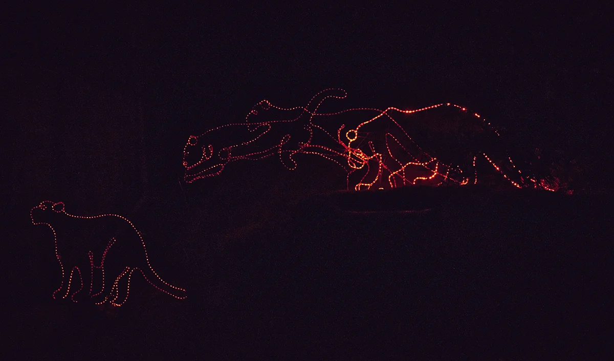 zoolights1_7low.jpg