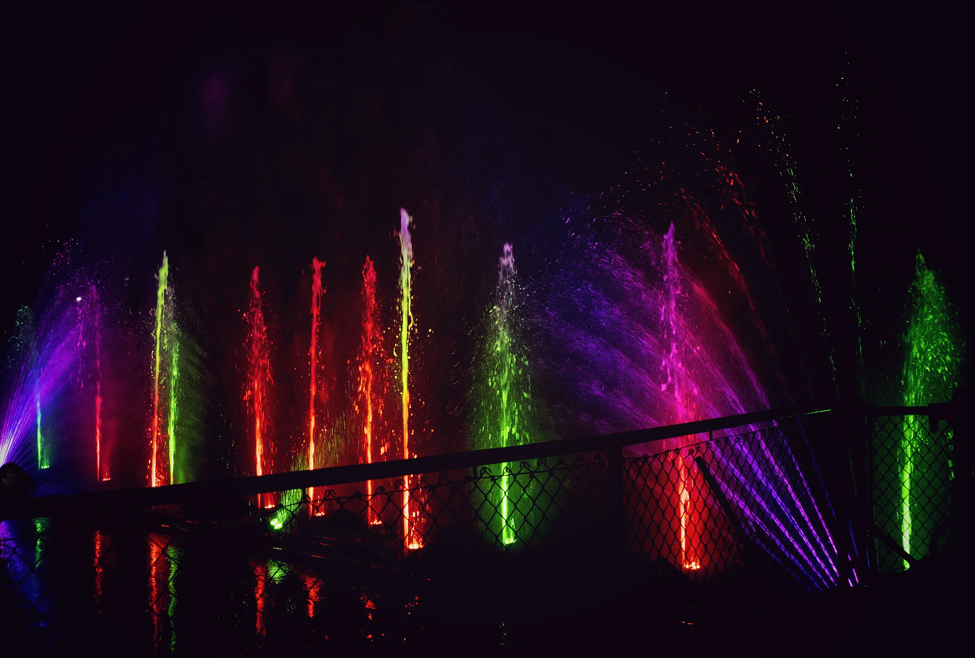 zoolights1_10low.jpg