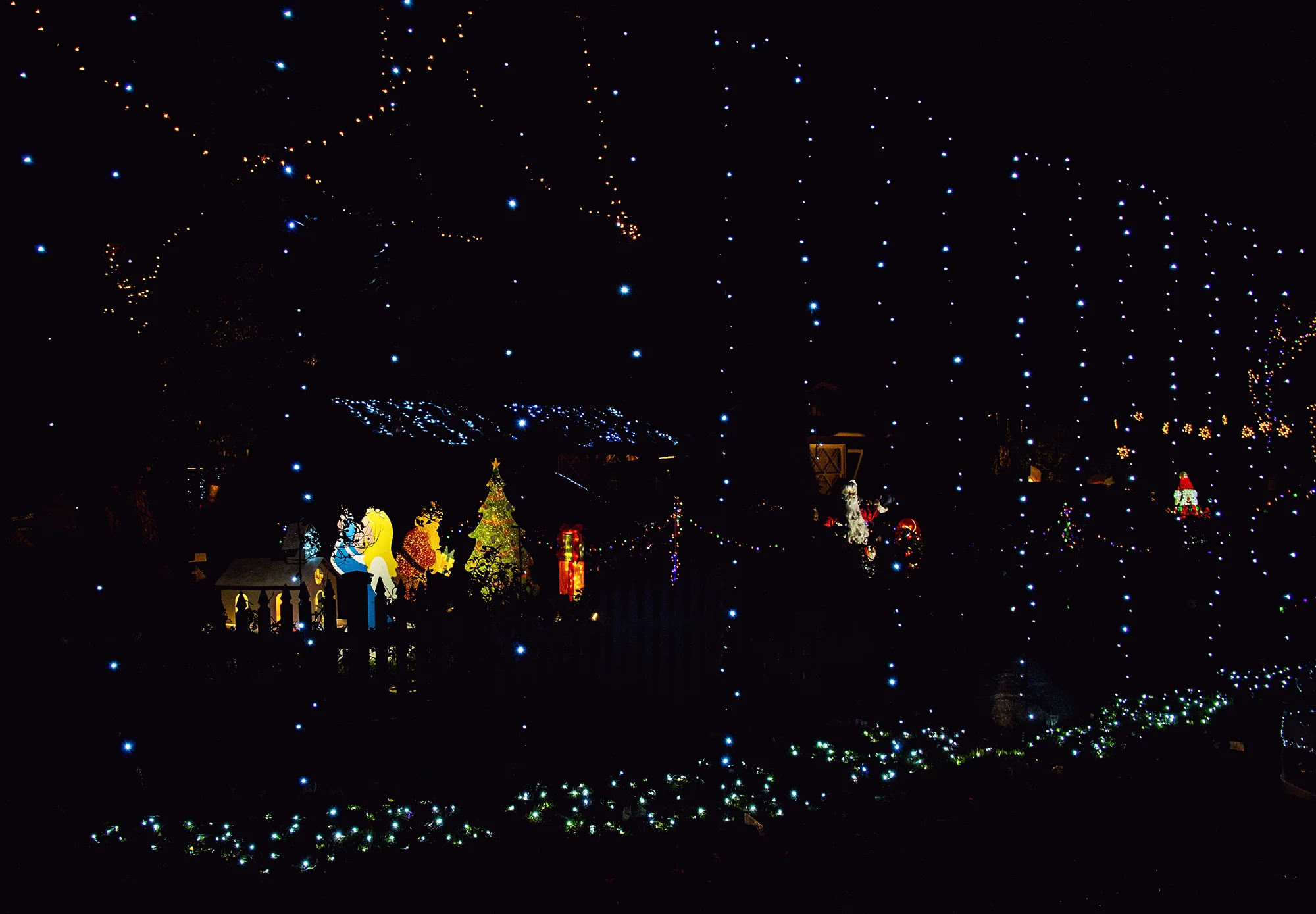 candycane18_14low.jpg