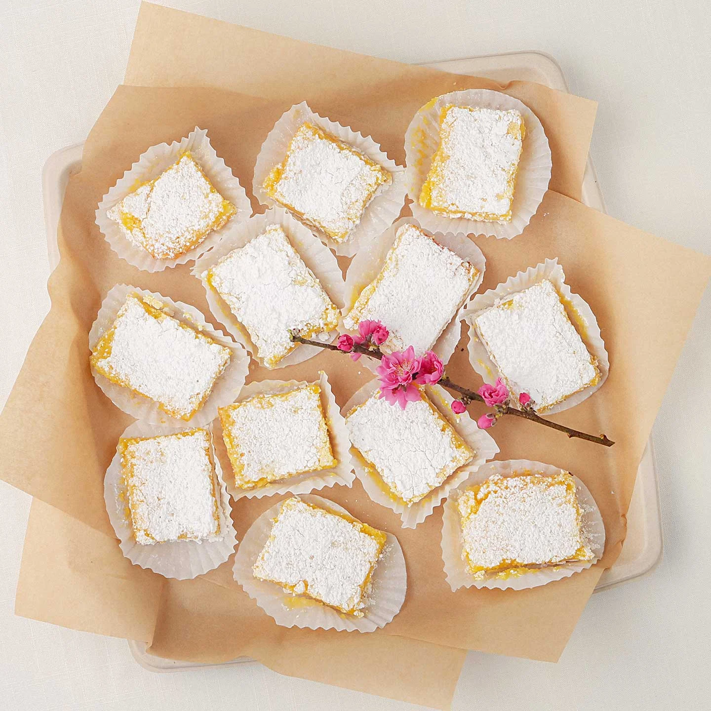 WFE-12_Lemon_2.jpg