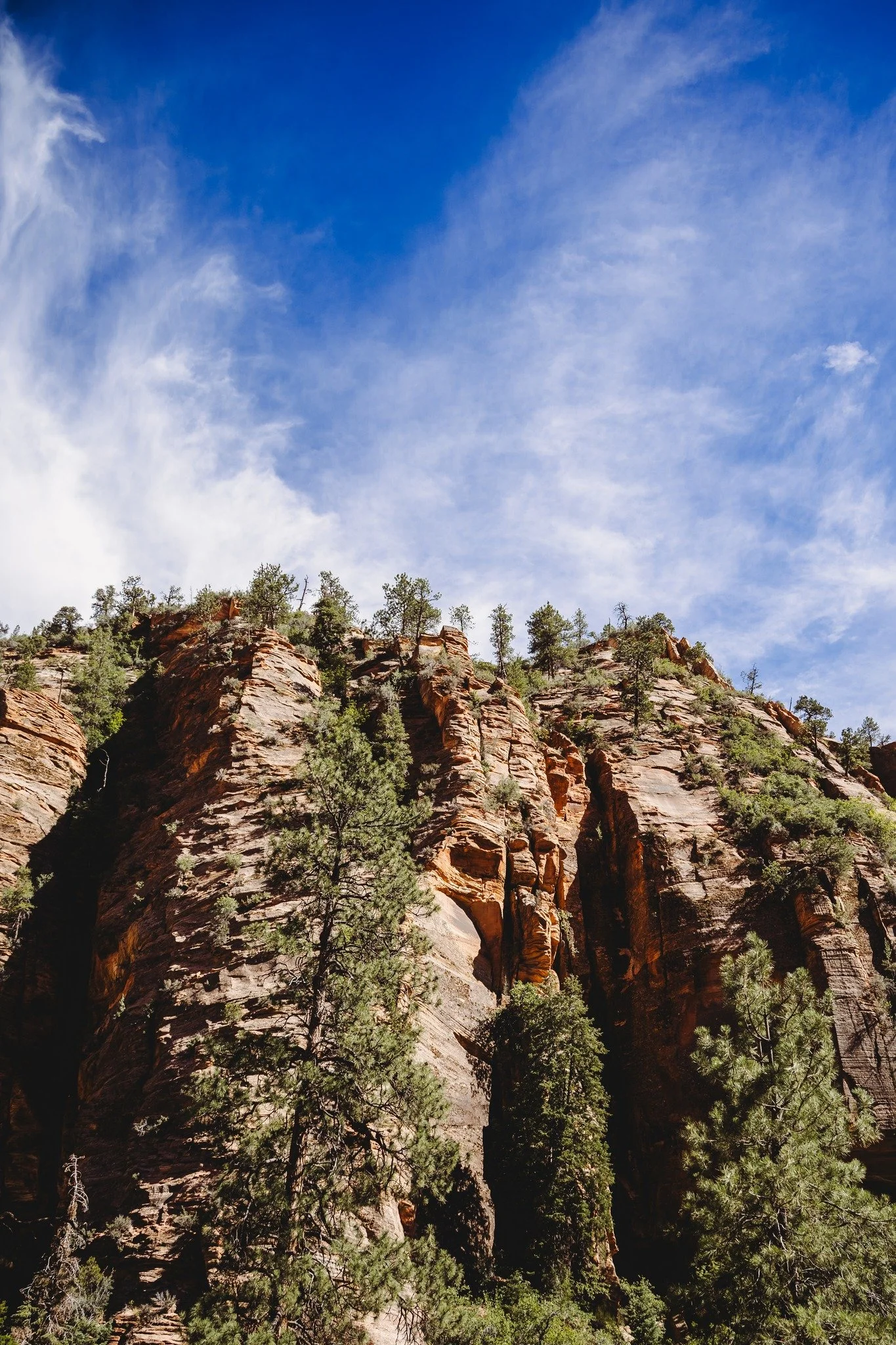 June was full of road trips, this one took up to Zion National Park , it was beautiful and hot out! One day I'll make it back and hang out for a few days!

 #chelsietrendleyphotography #militaryspousephotographer #landscapephotography #photographerli