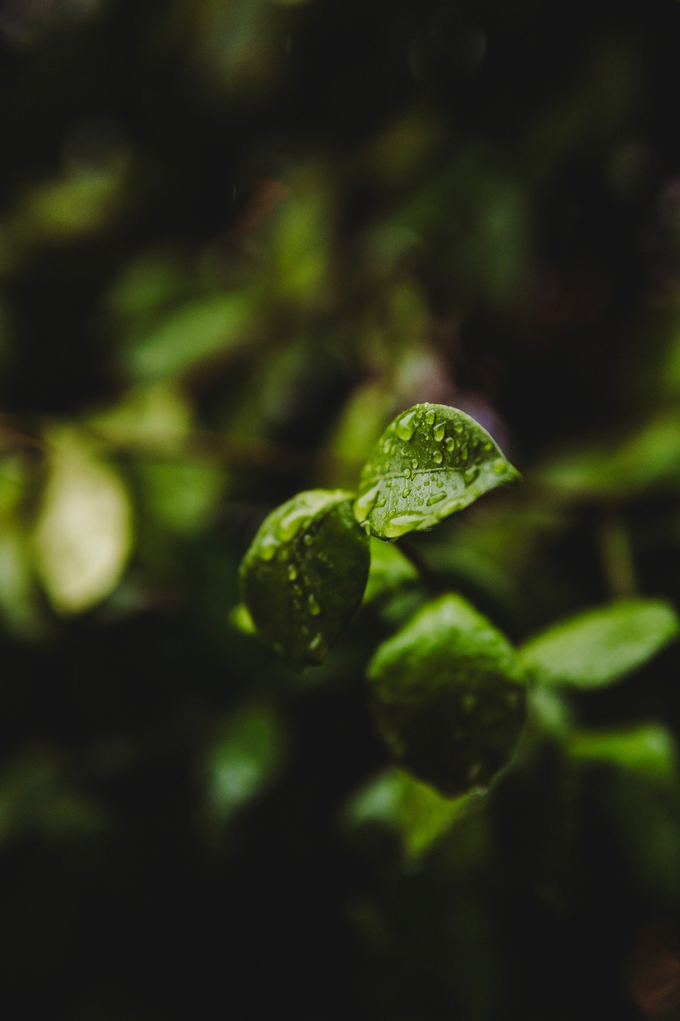 The little things.

 #chelsietrendleyphotography #photographerlife