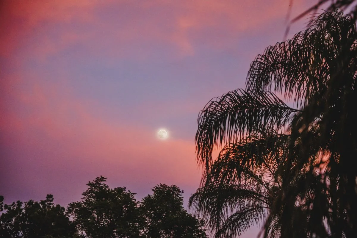 Last night's sunset was beautiful! #sandiego
