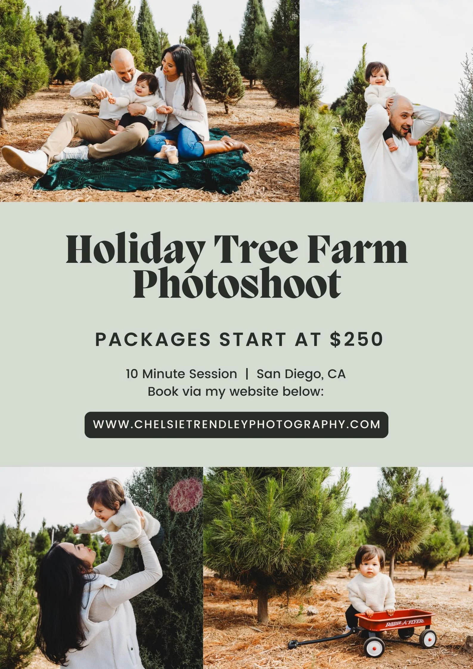 san diego christmas tree family photos