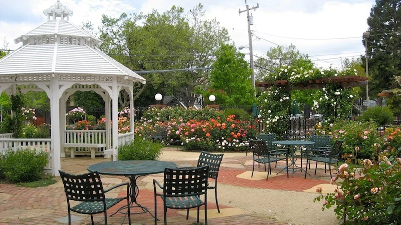 rose_garden_april_2012_3.jpg