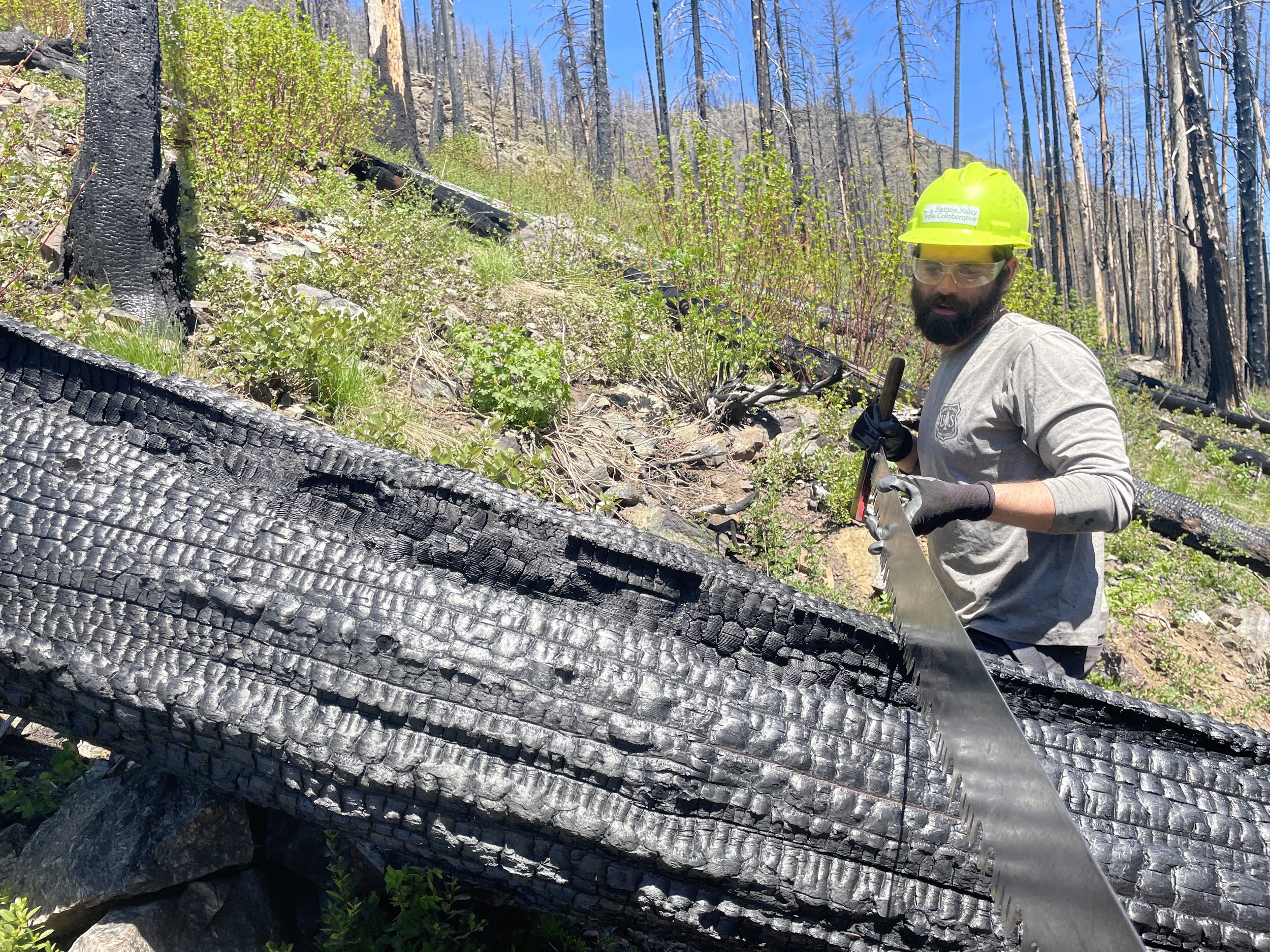 MVTC Early Season Work through 5/10/2025