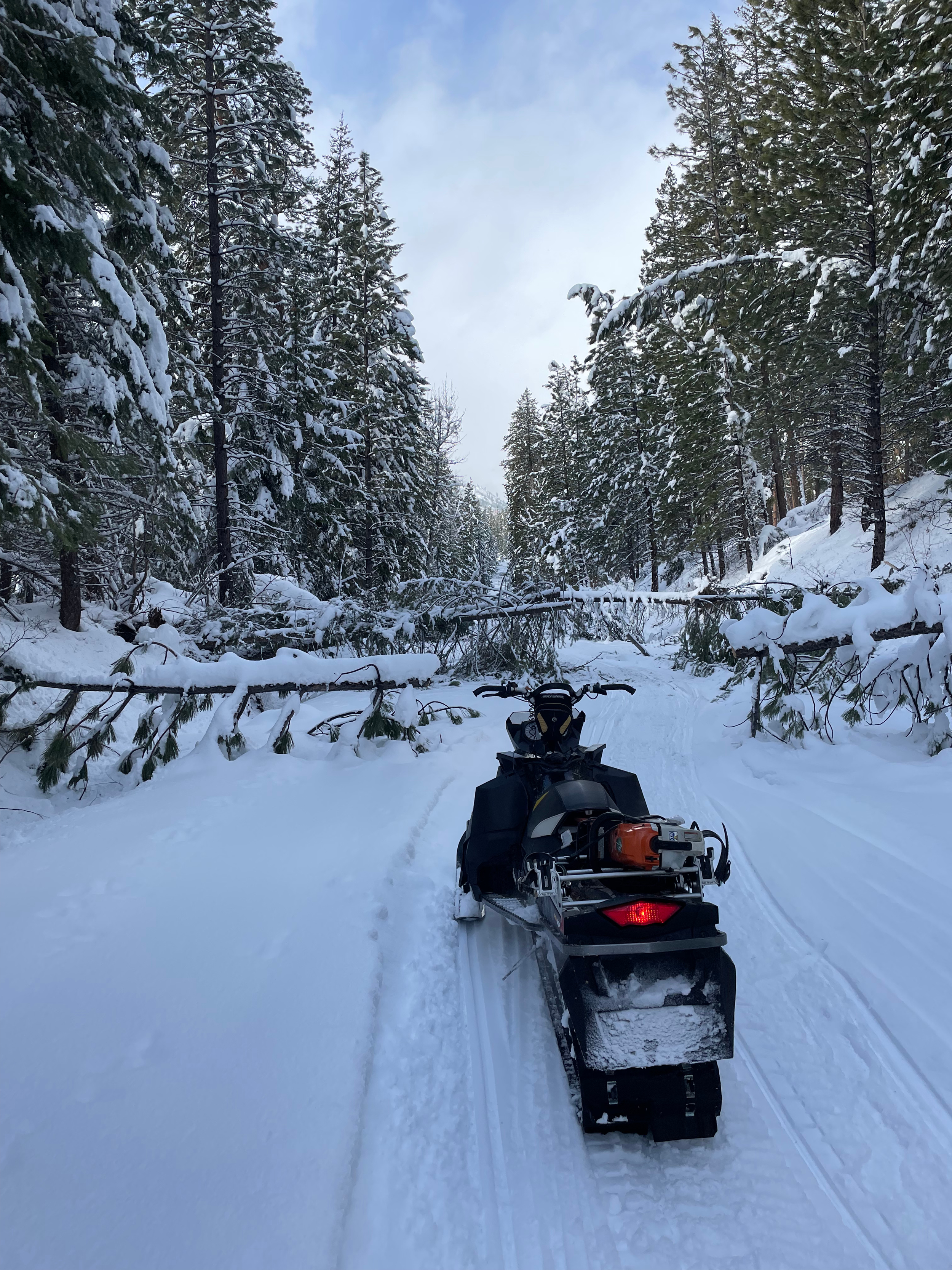 Resilient Groomers cutting trees and making every snowflake count