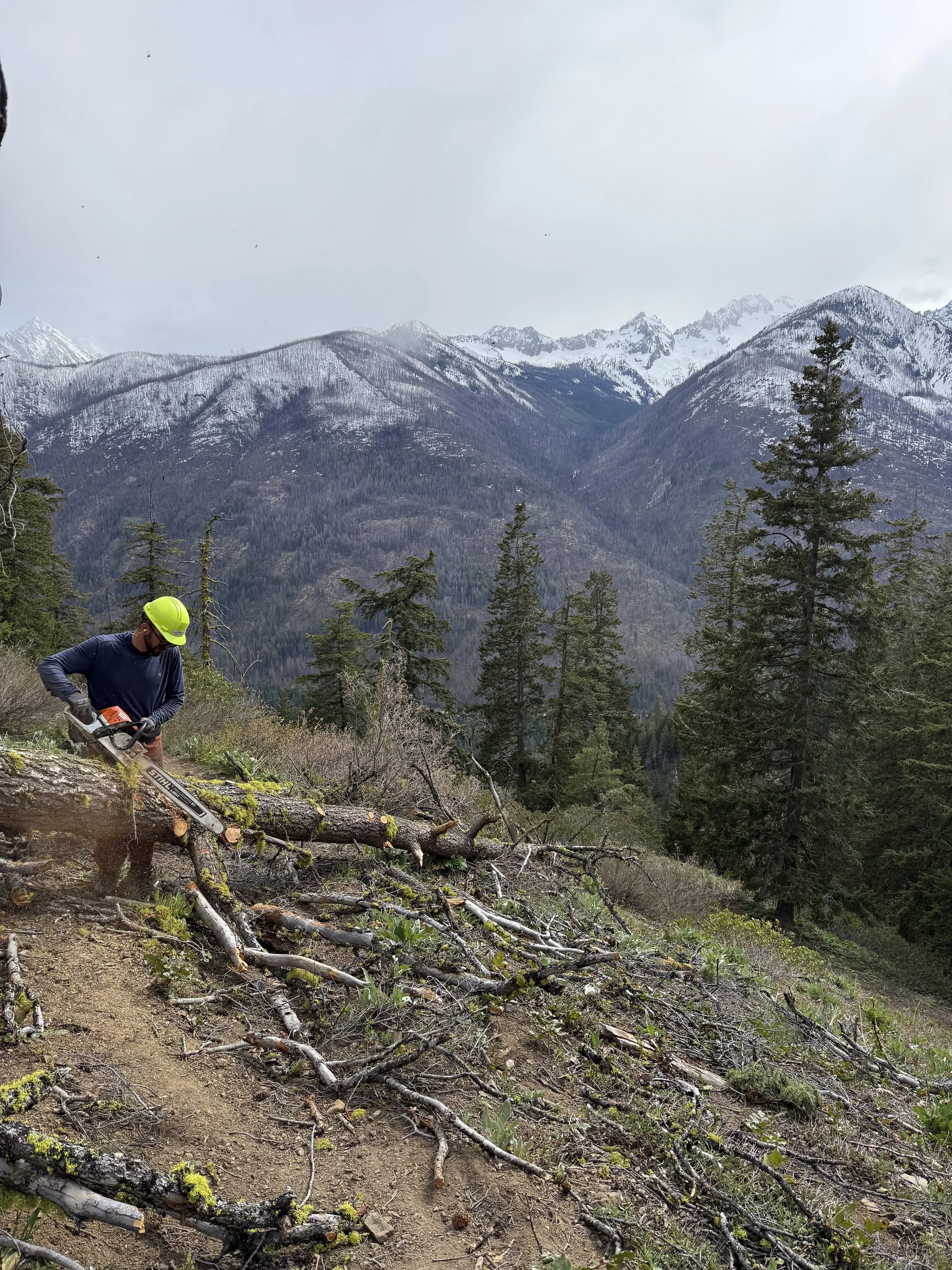 Spring Progress Being Made, Grappling With Winter Storm Damage 