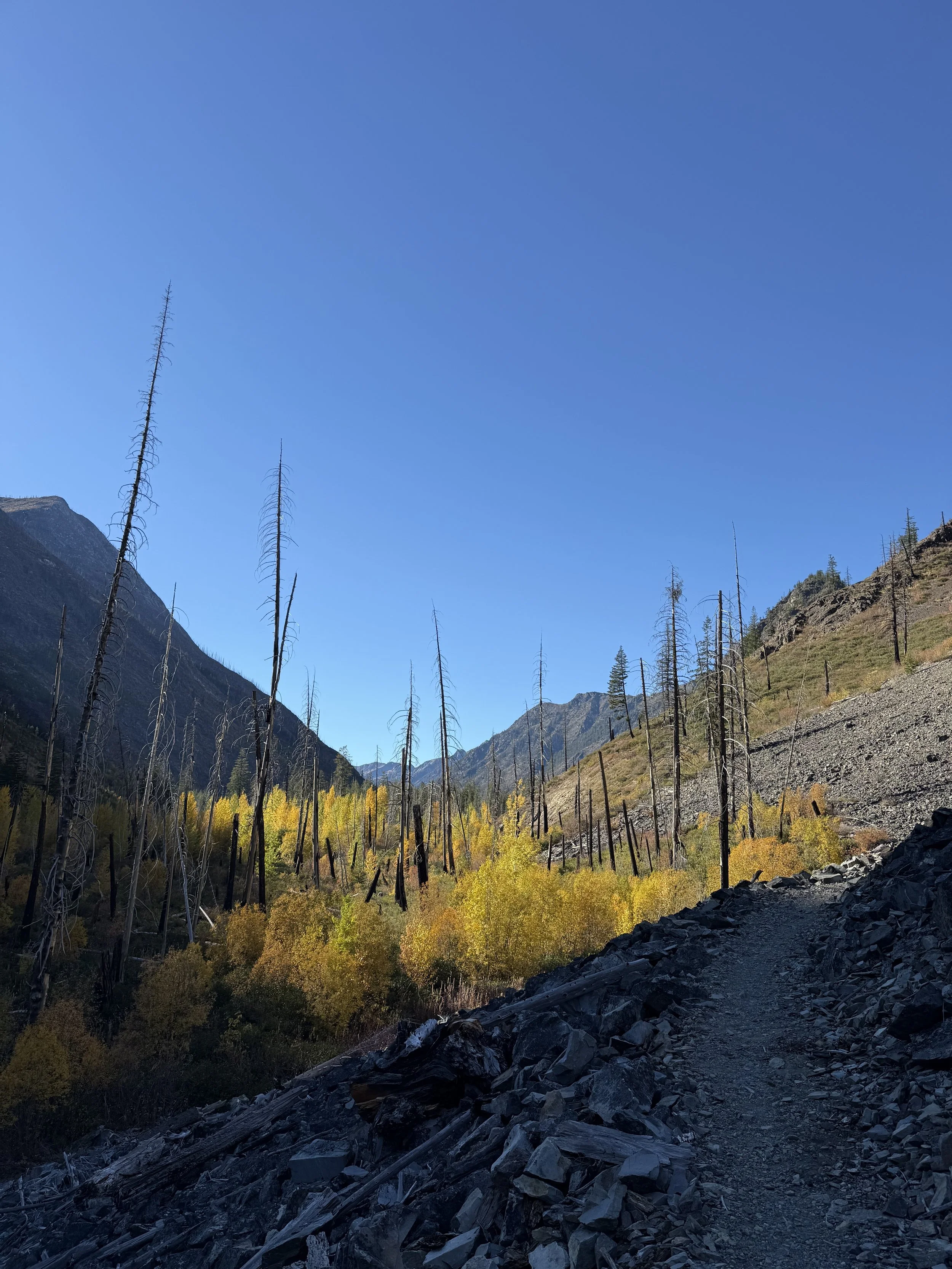 MVTC's Trail Field Season Draws to a Close