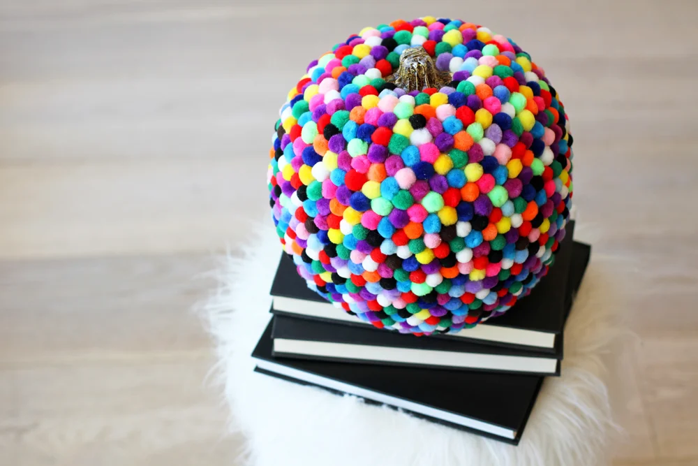 PomPumpkinLilyshop1(1).jpg