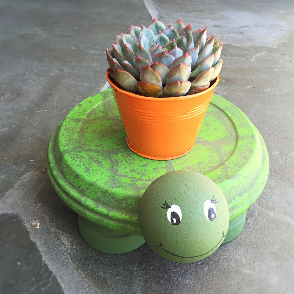 TurtlePotHolderLilyshop2.jpg