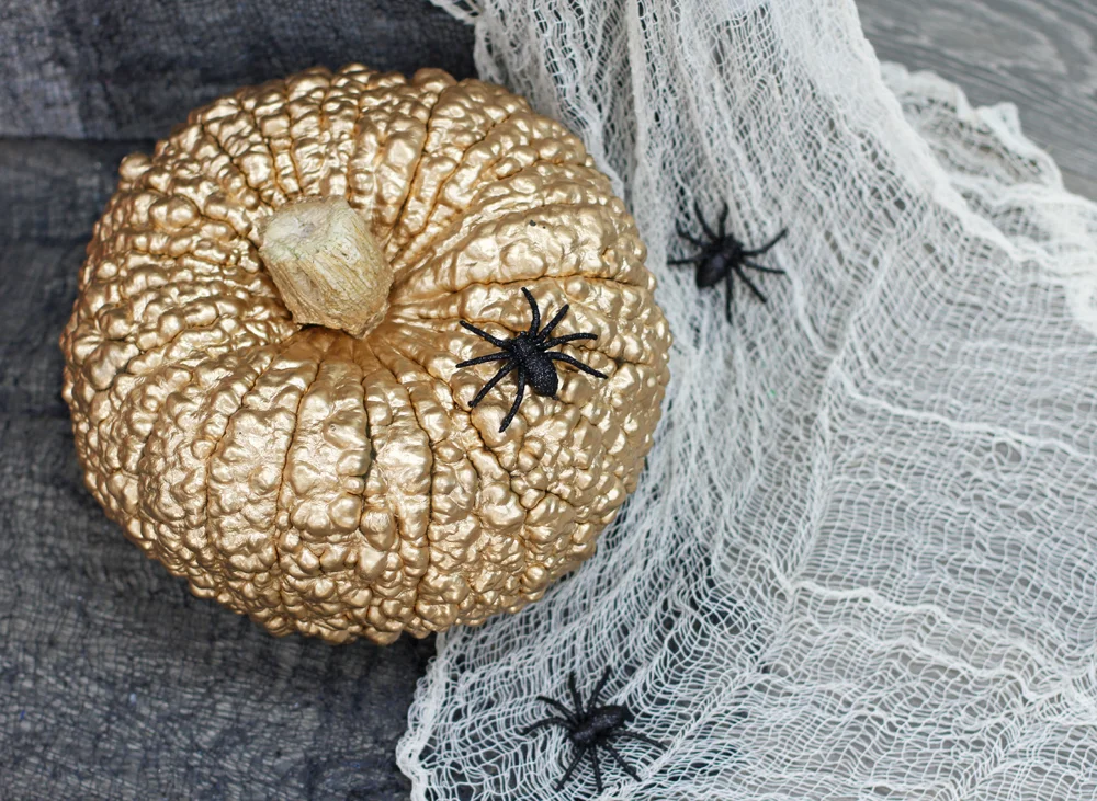Goldwartpumpkin(2).jpg