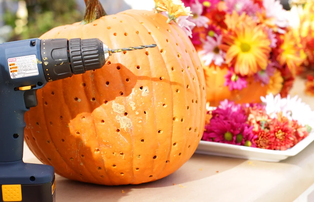 Flowerpumpkin4.jpg