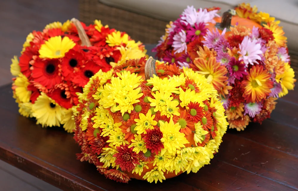 FlowerPumpkins1.jpg