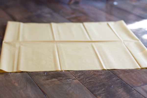 Then fold it in half again. You should now have four layers.