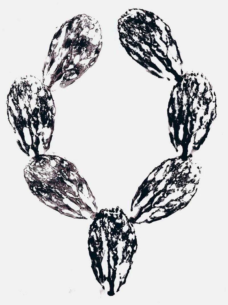 Nopalito (1) Cactus Monoprint on paper, 18”x 24”