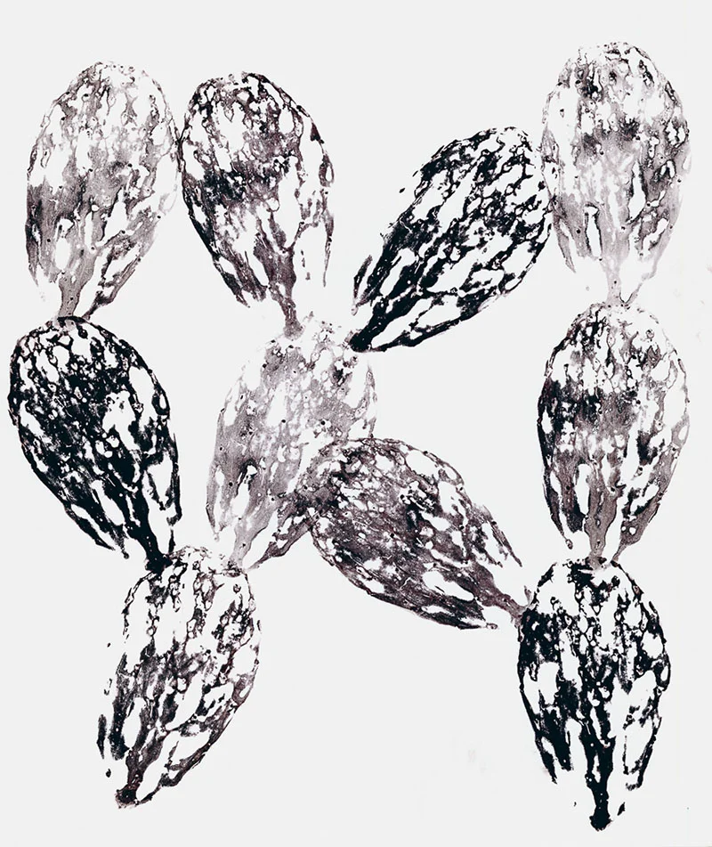 Nopalito (2) Cactus Monoprint on paper, 18”x 24”