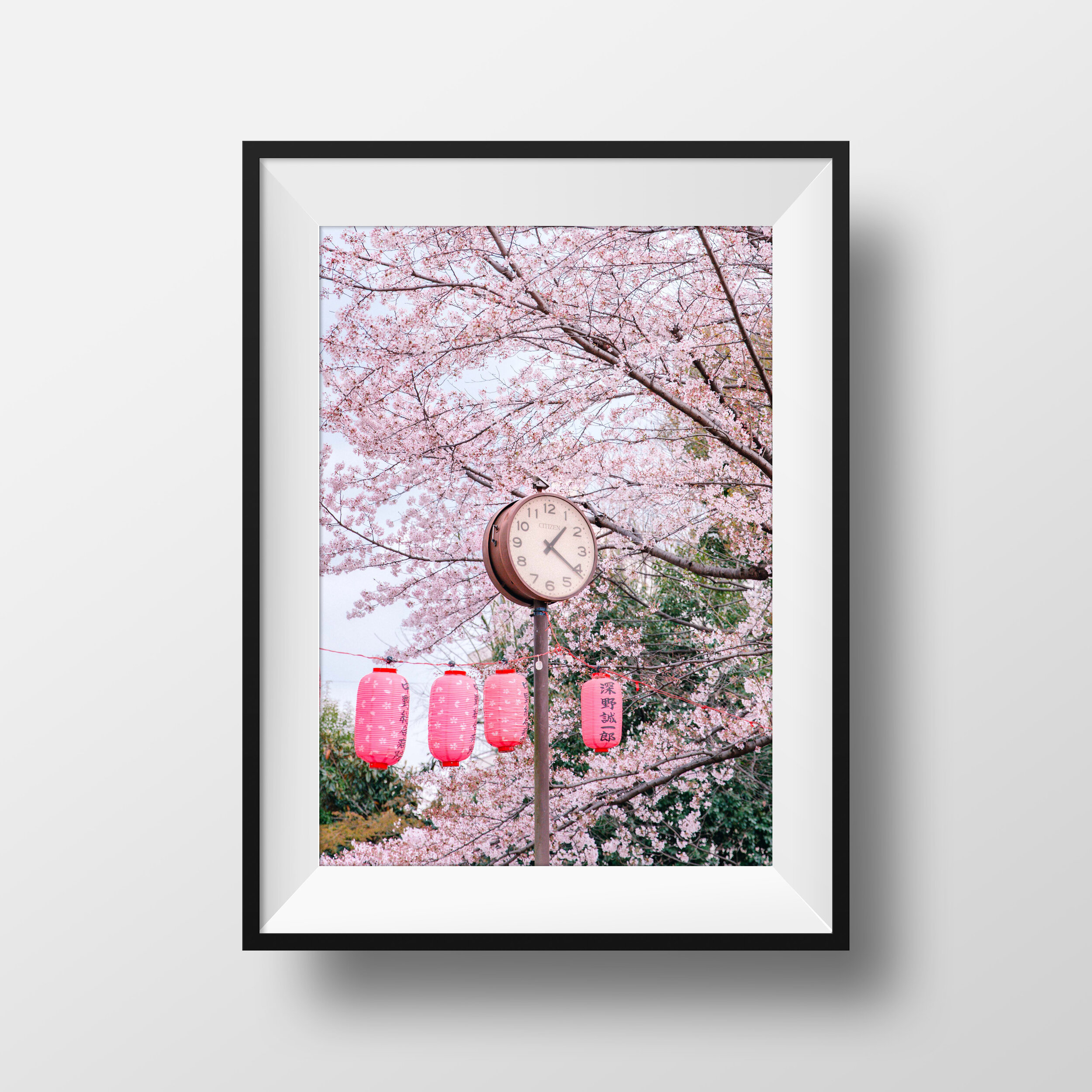 Sakura O'Clock - Frame.jpg