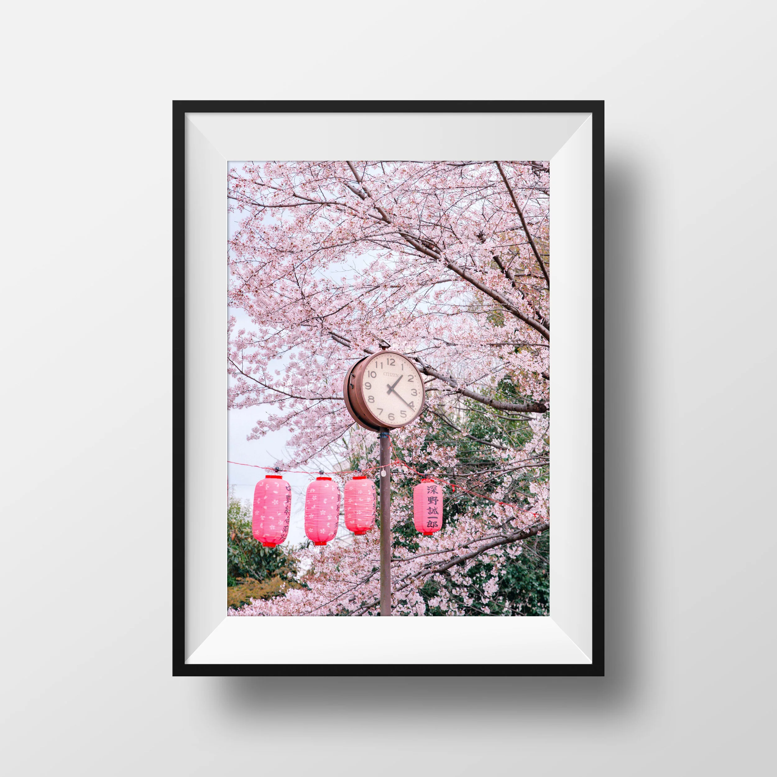 Sakura O'Clock (PRE-ORDER ONLY)