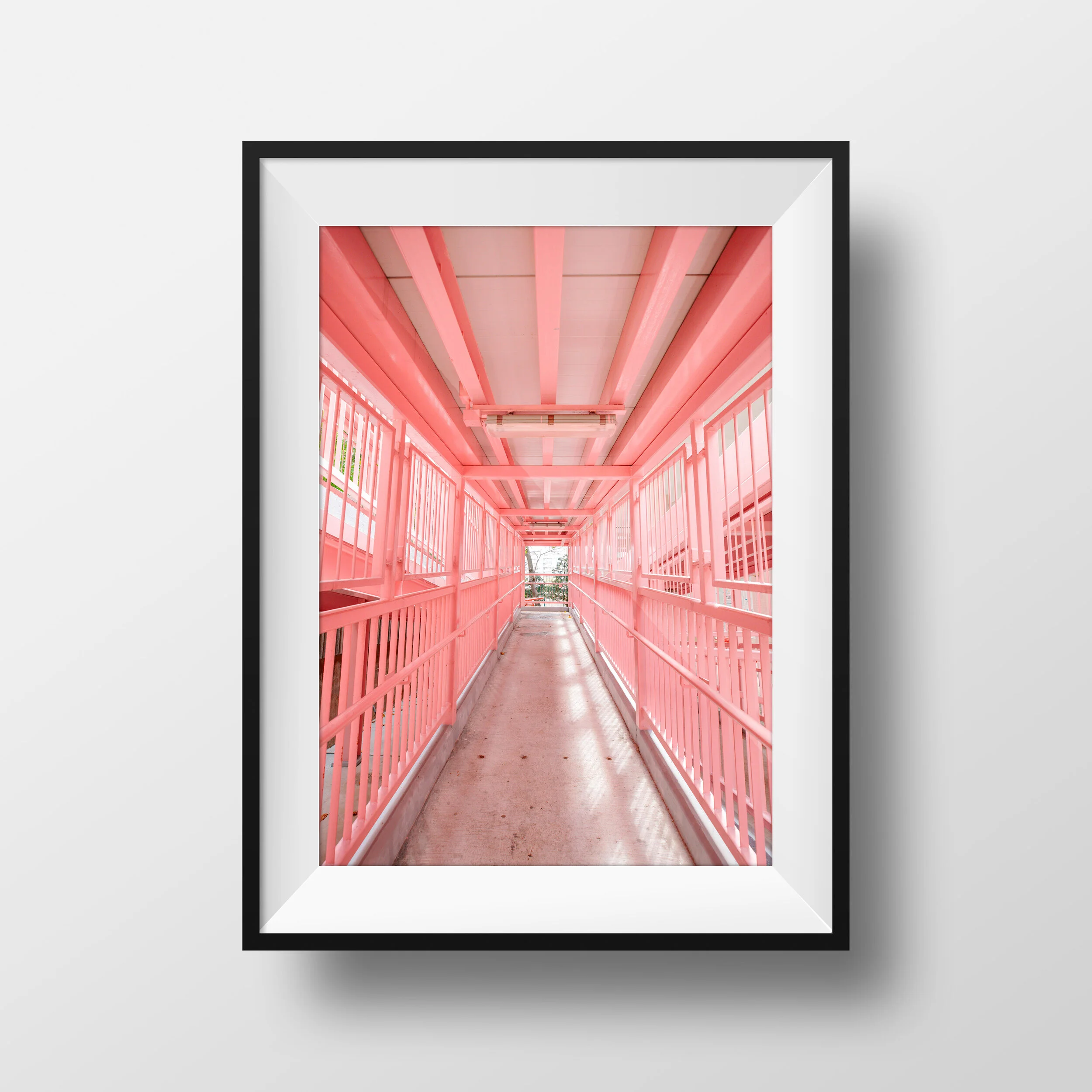 Pink Tunnel (PRE-ORDER ONLY)