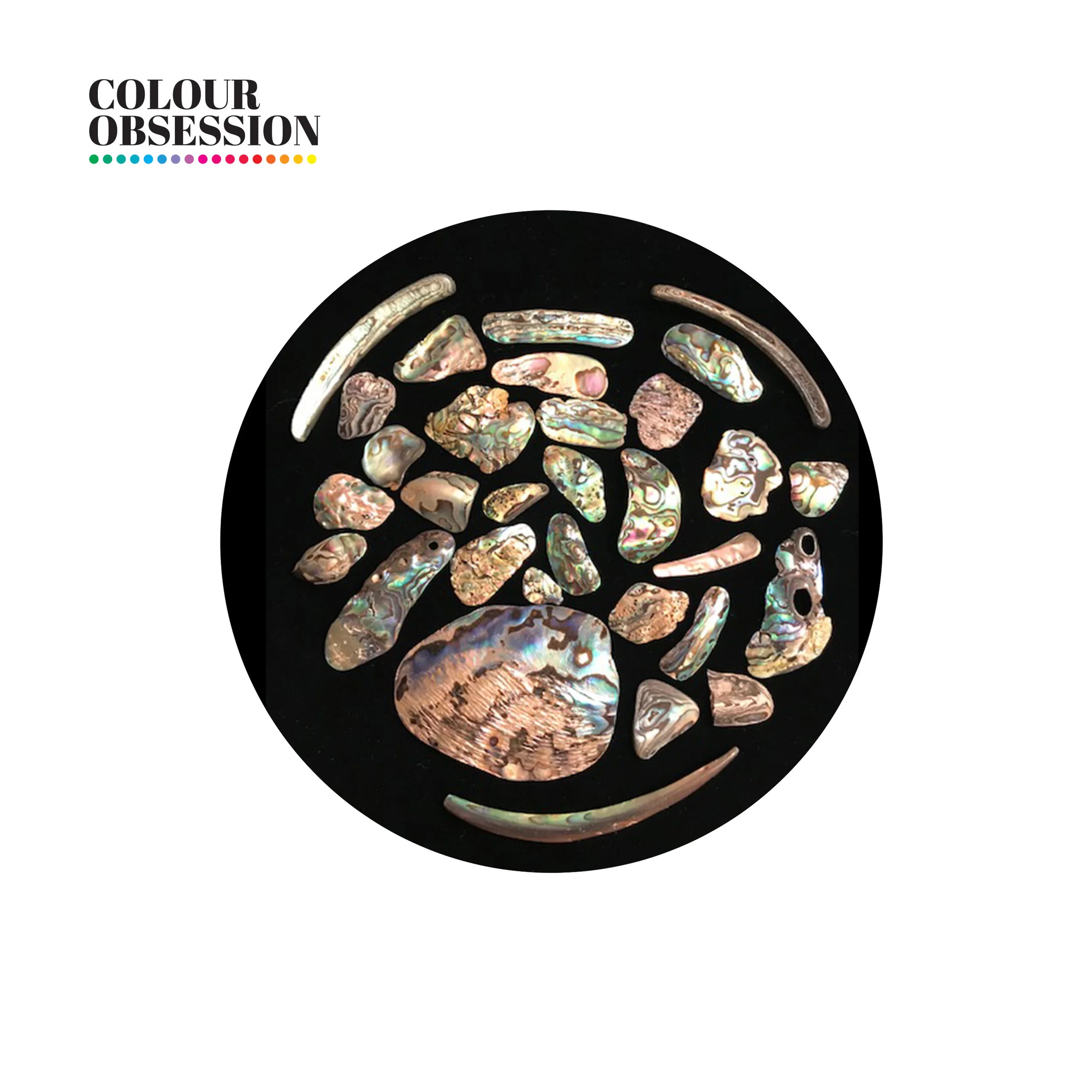 Abalone_shells-50g-2406.jpg