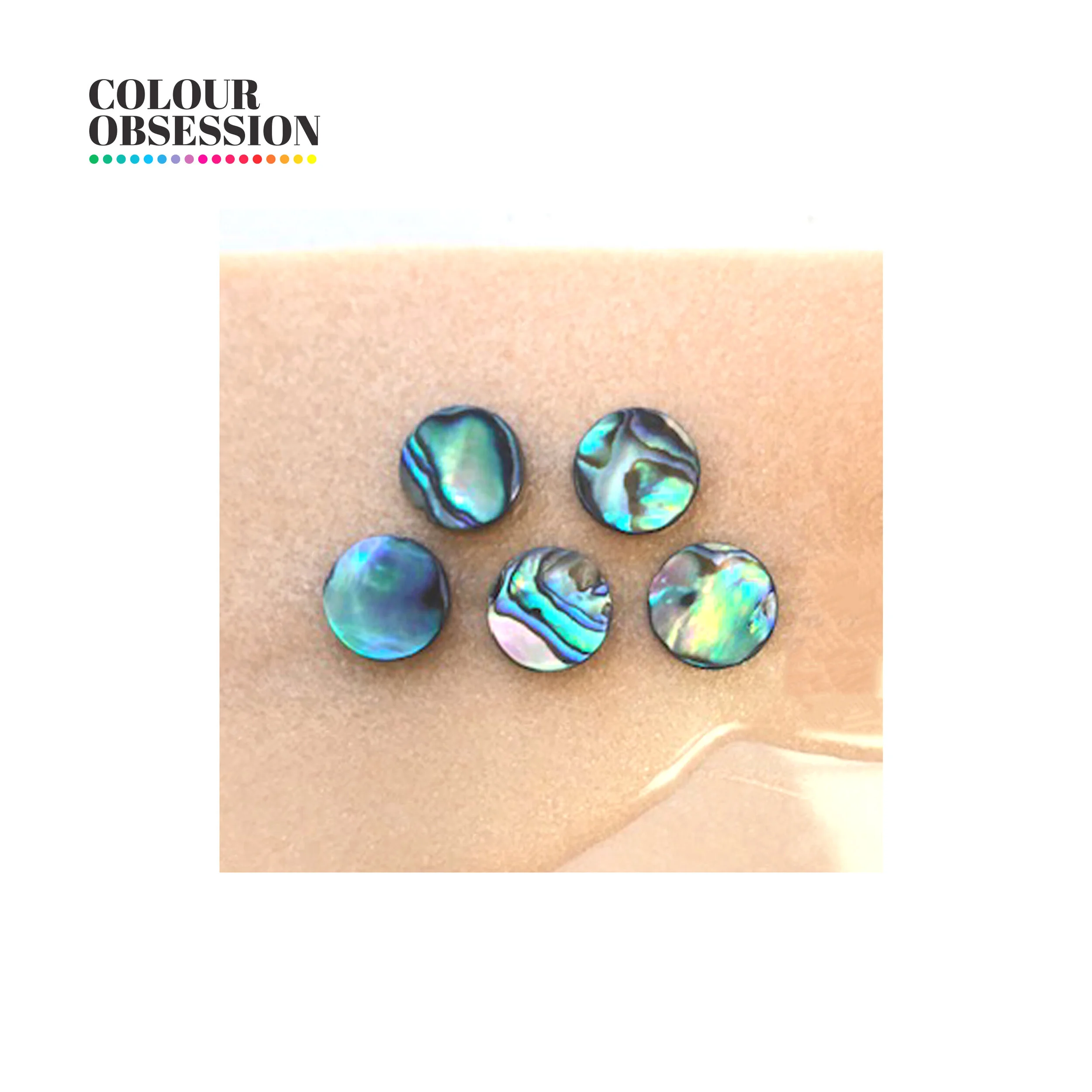 Abalone_shell_blanks_10mm-2654.jpg