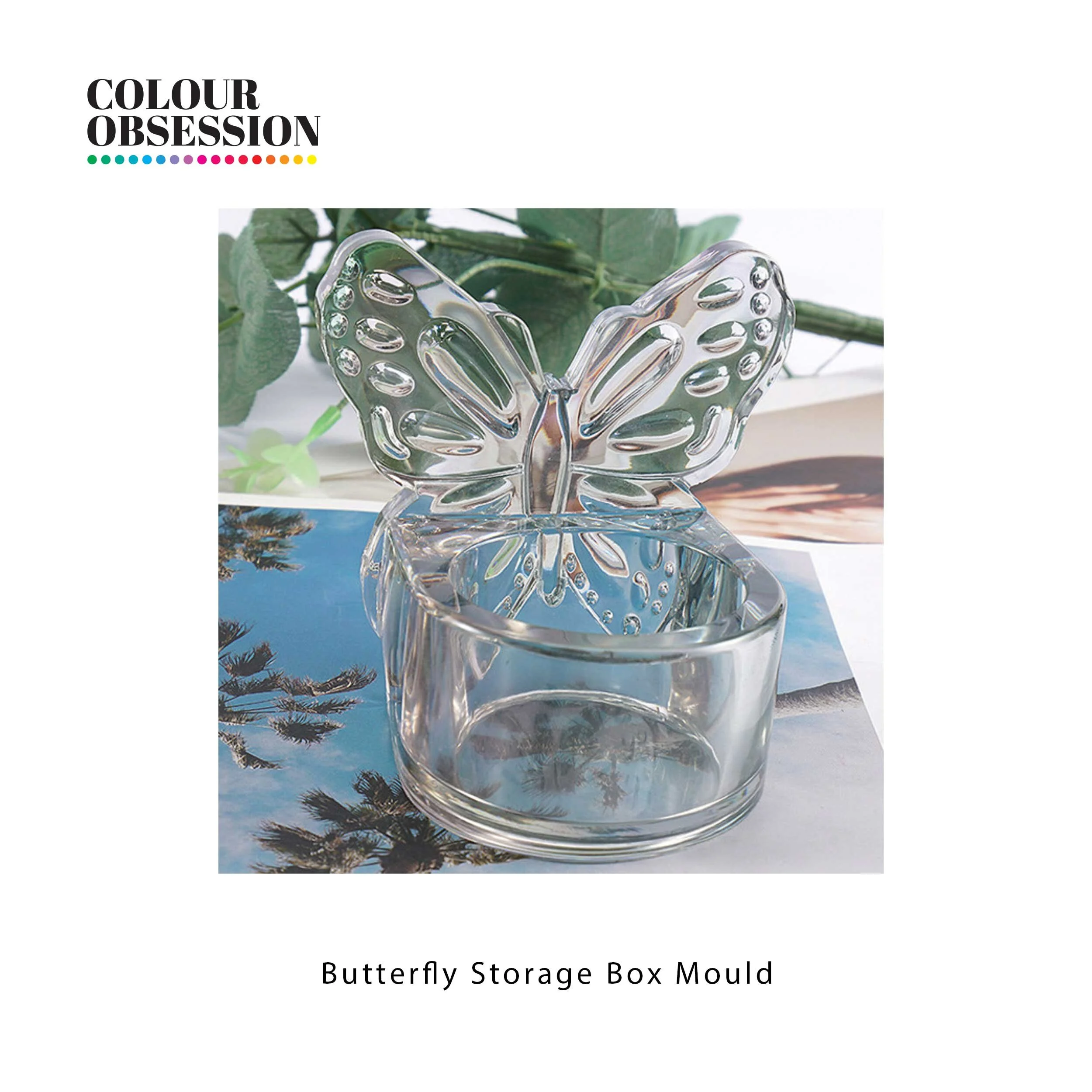 Butterfly-storage-box-mould.jpg