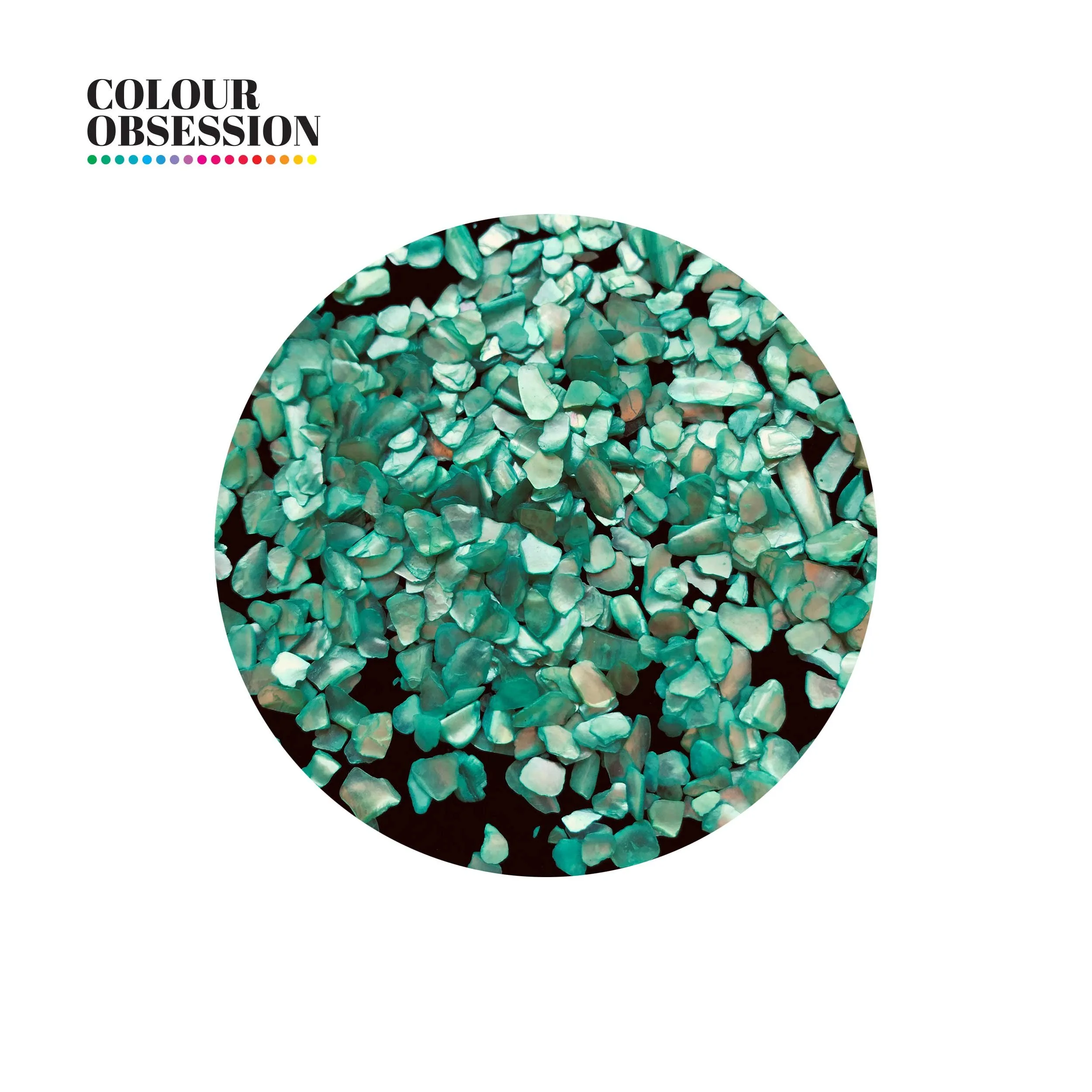 Turtle Bay - Mini Shells