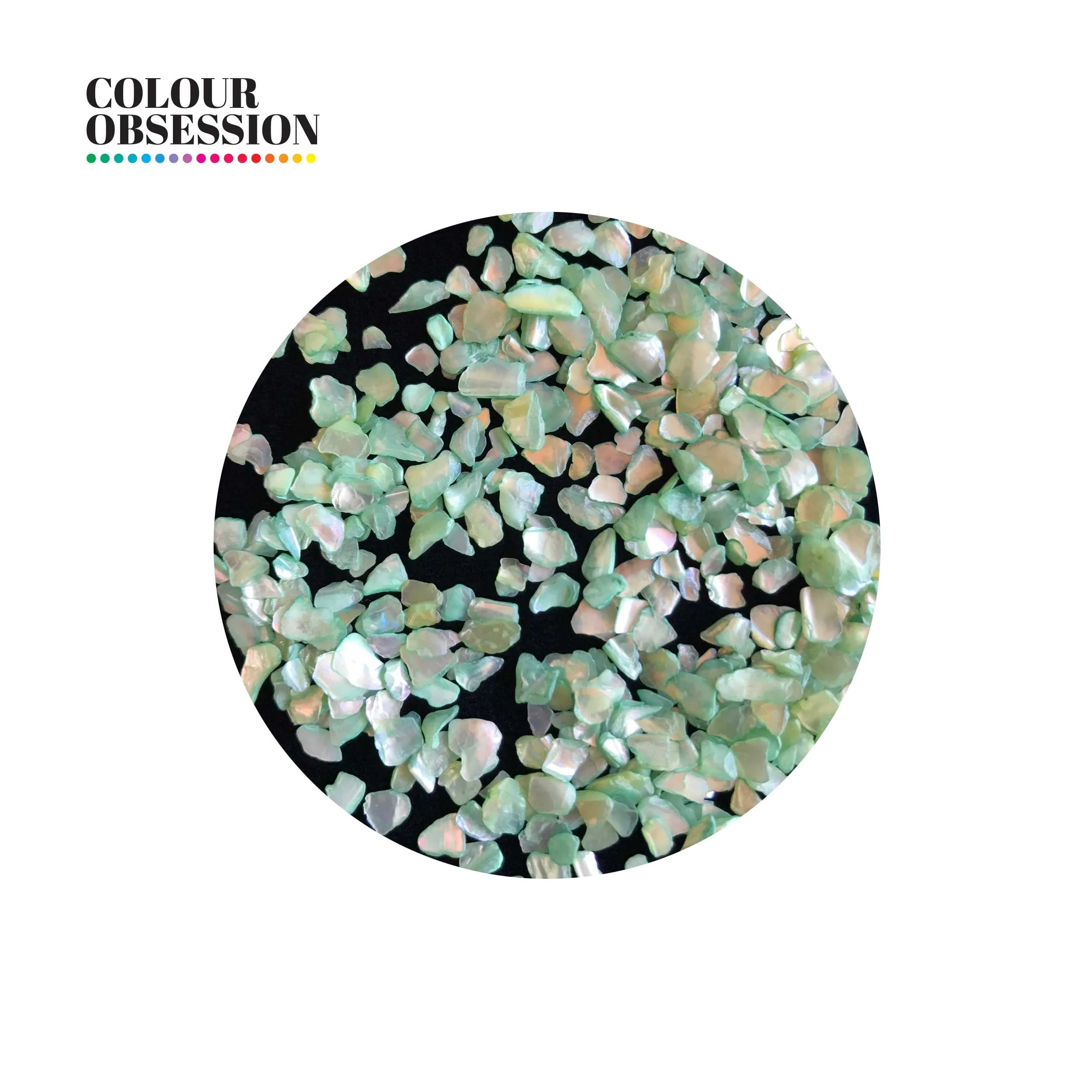 Green Shell Bay - Mini Shells