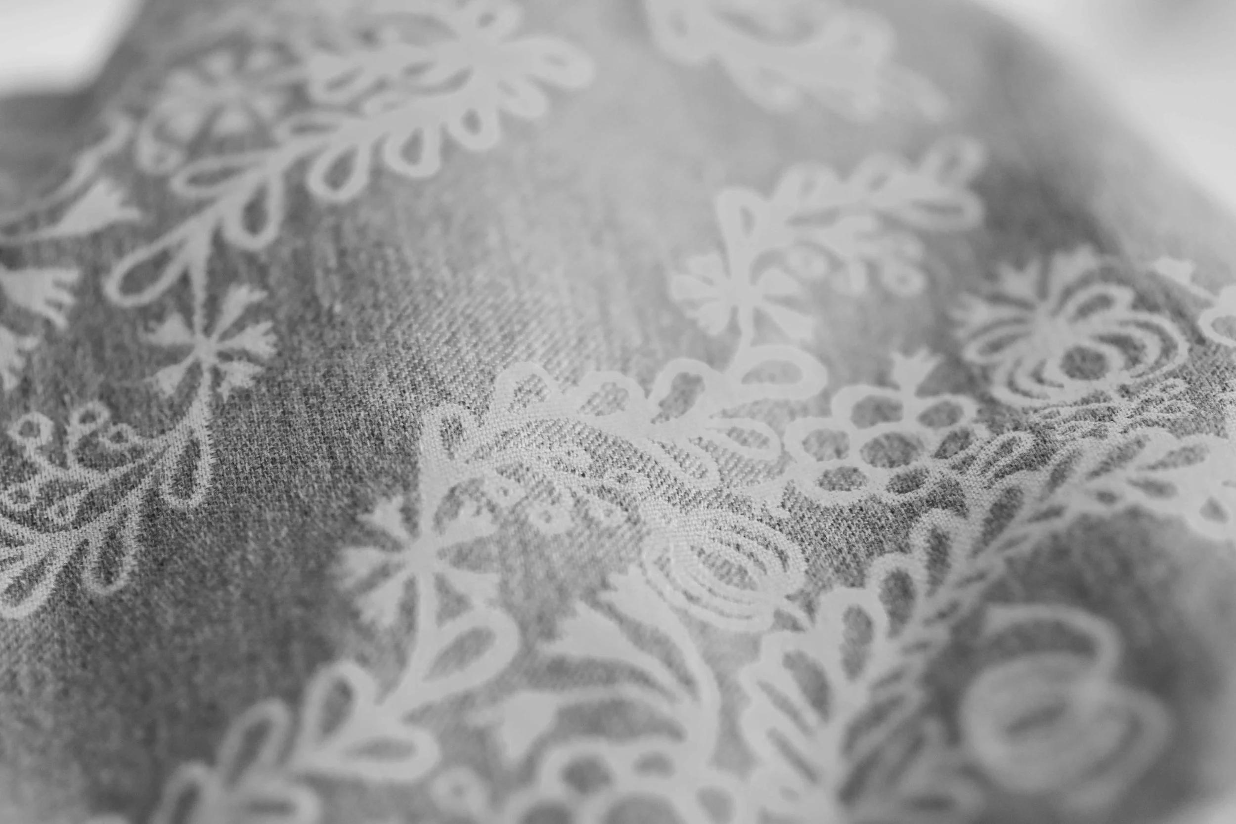 DSC_0862bw.jpg