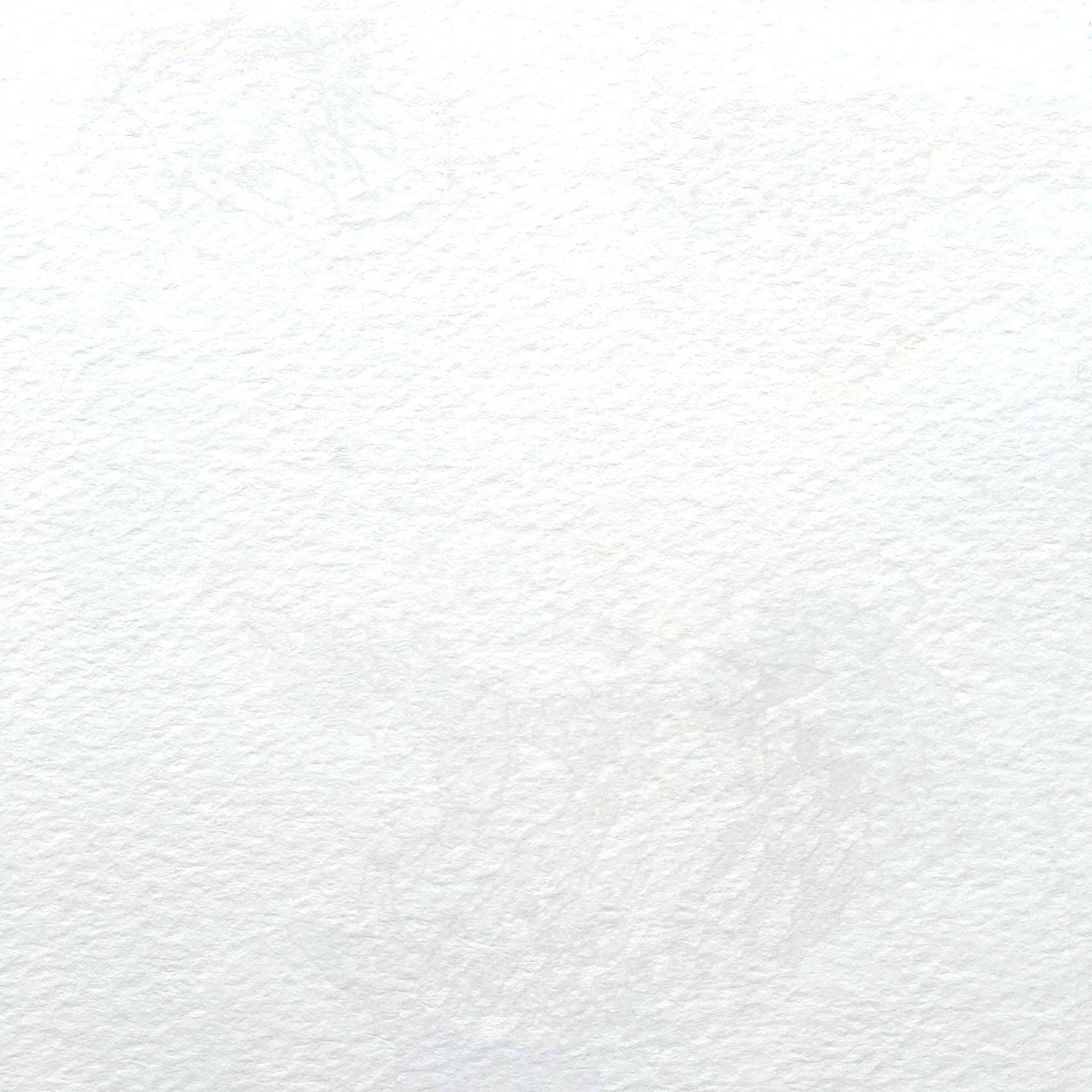Canvas.jpg