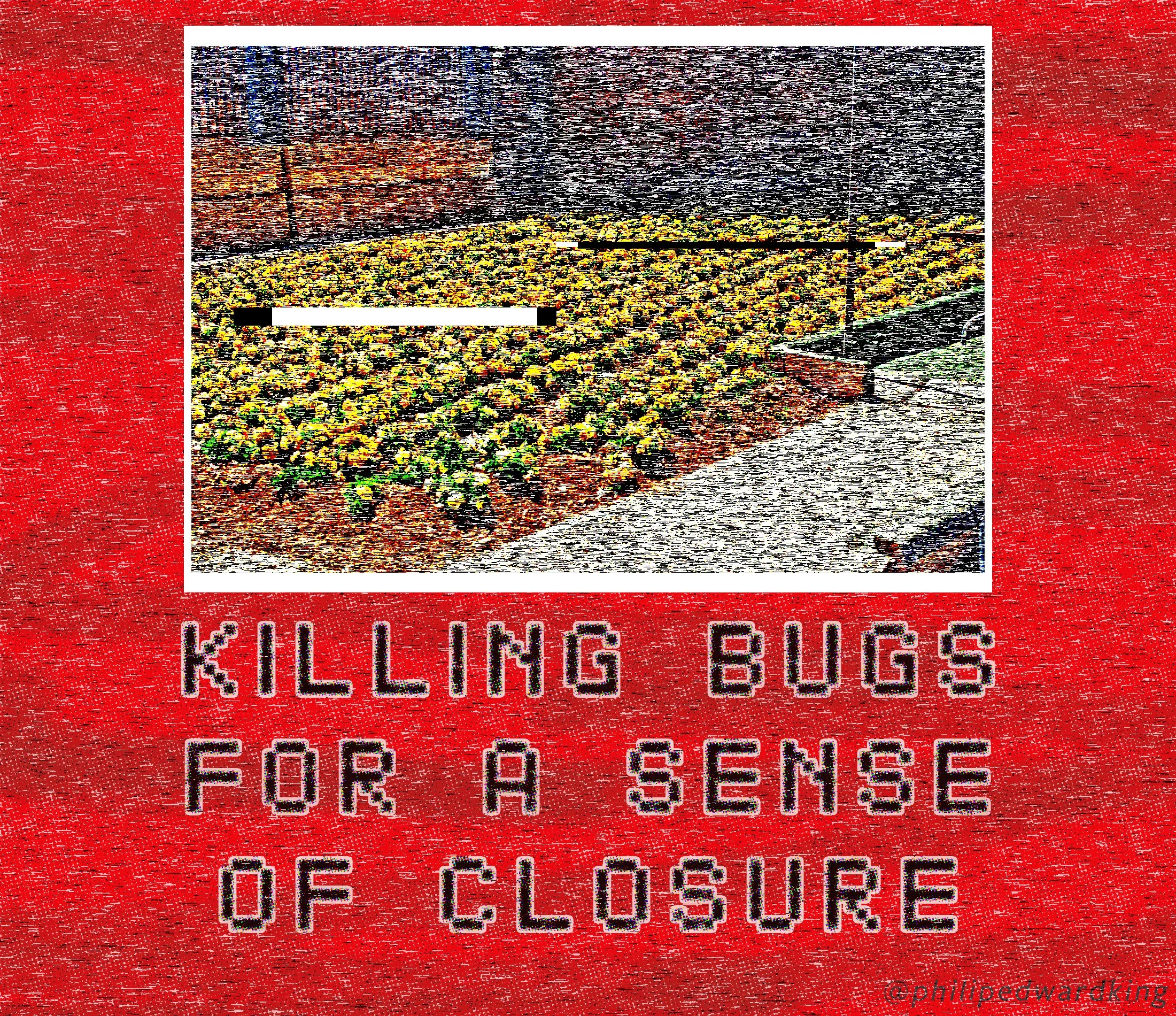 Killing Bugs