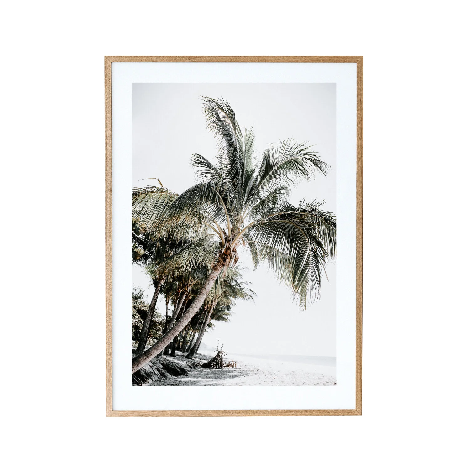 Beach_life.jpg