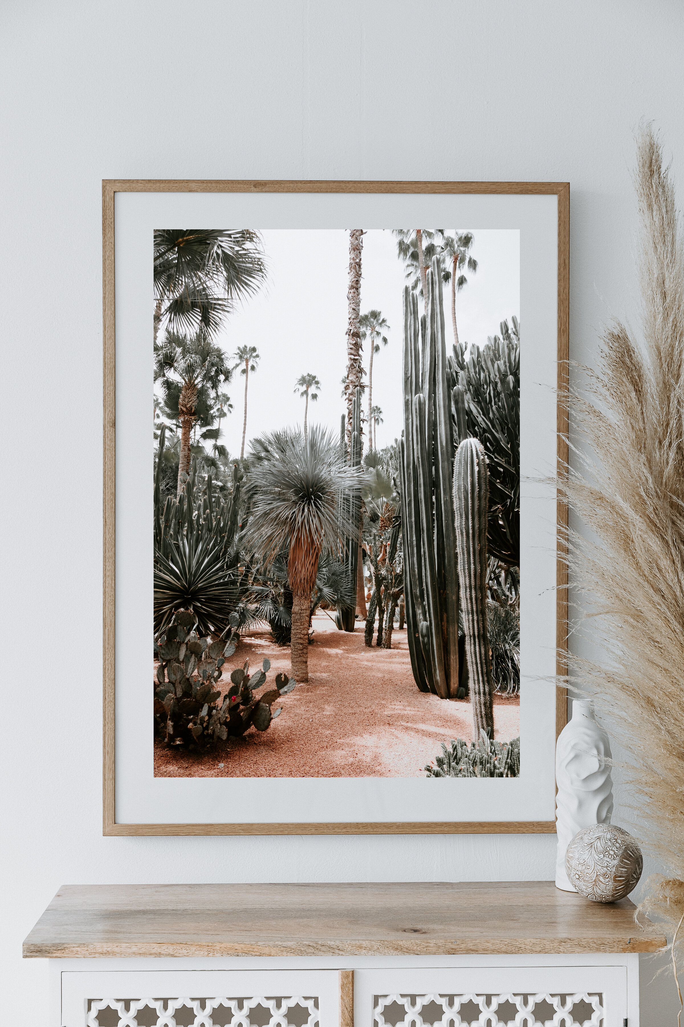 Cactus_garden.jpg