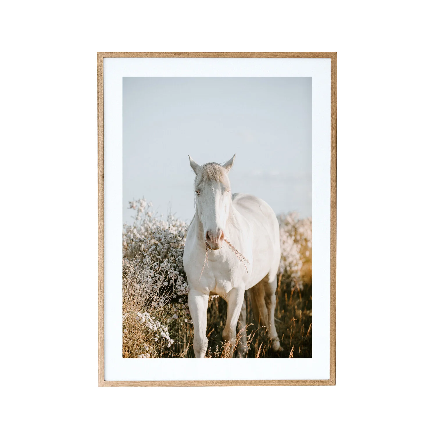 Flower_horse.jpg