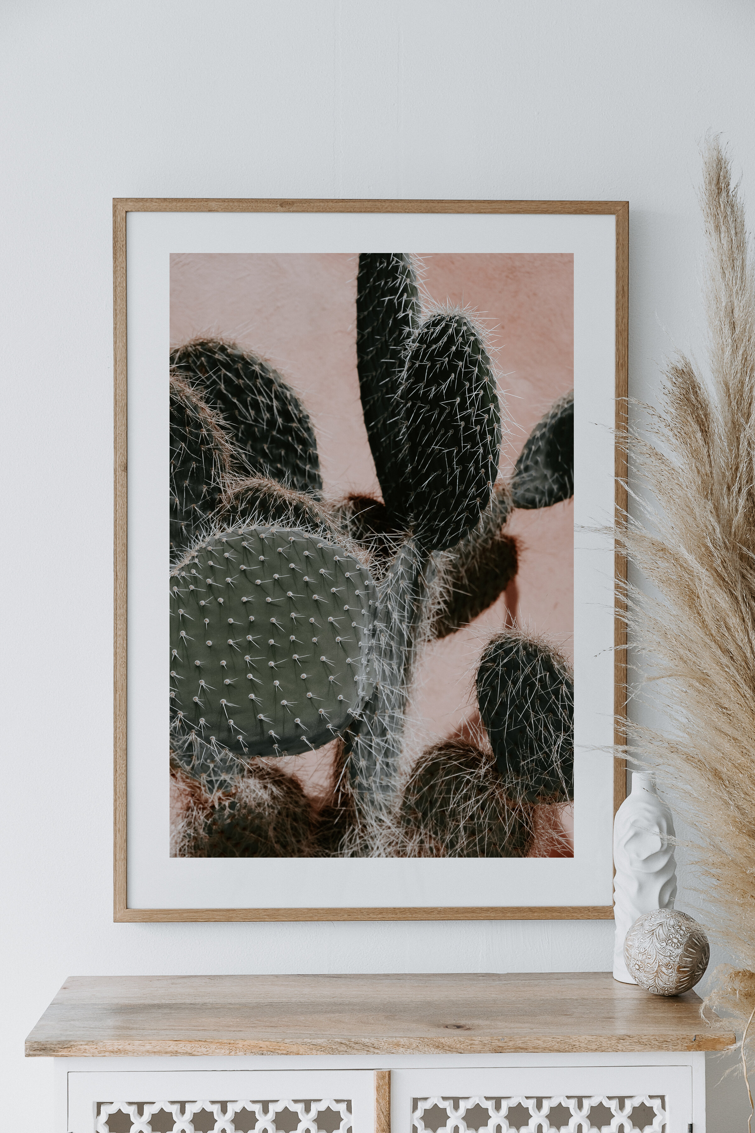 Marrakech_Cactus.jpg