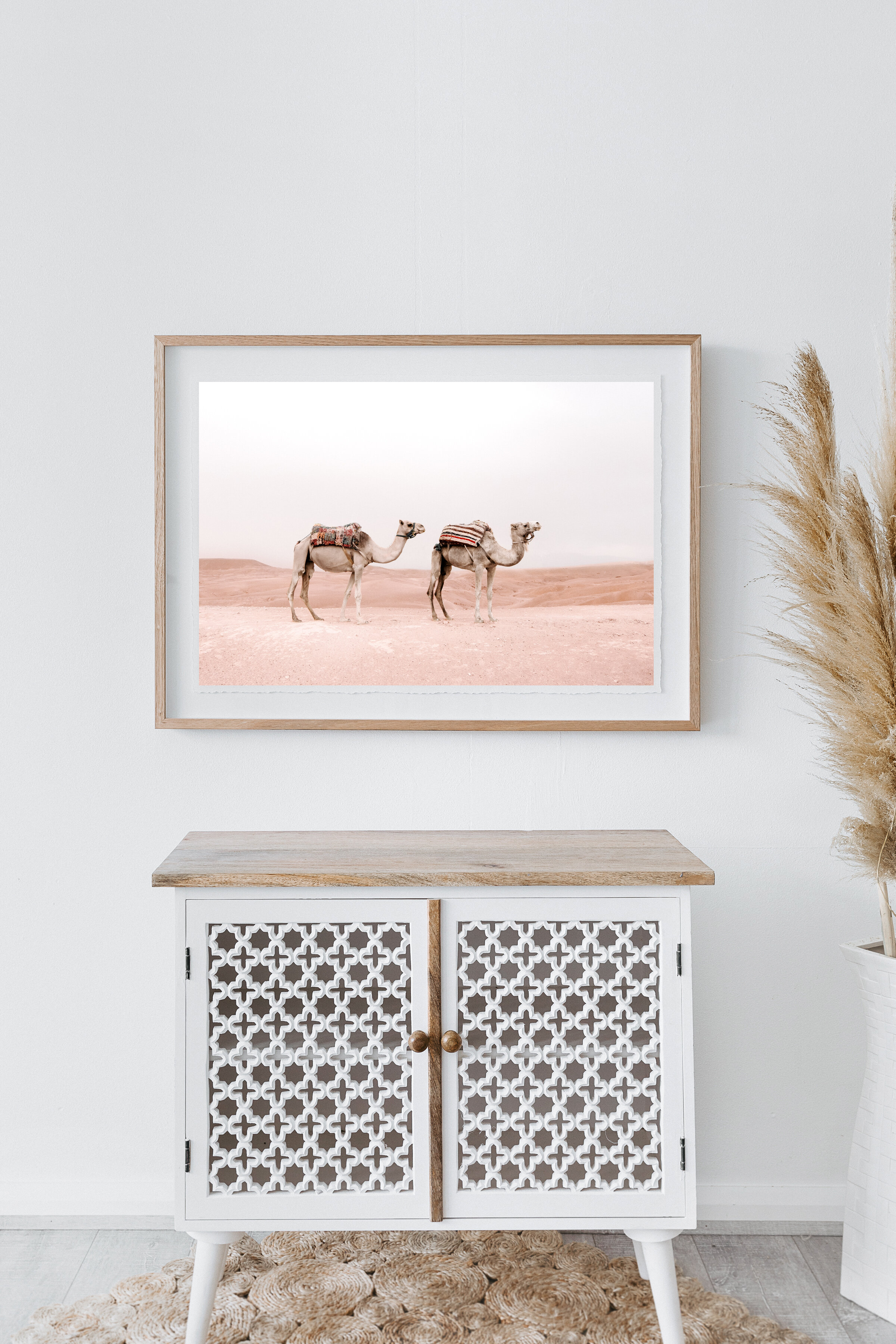 Moroccan_camels-2.jpg