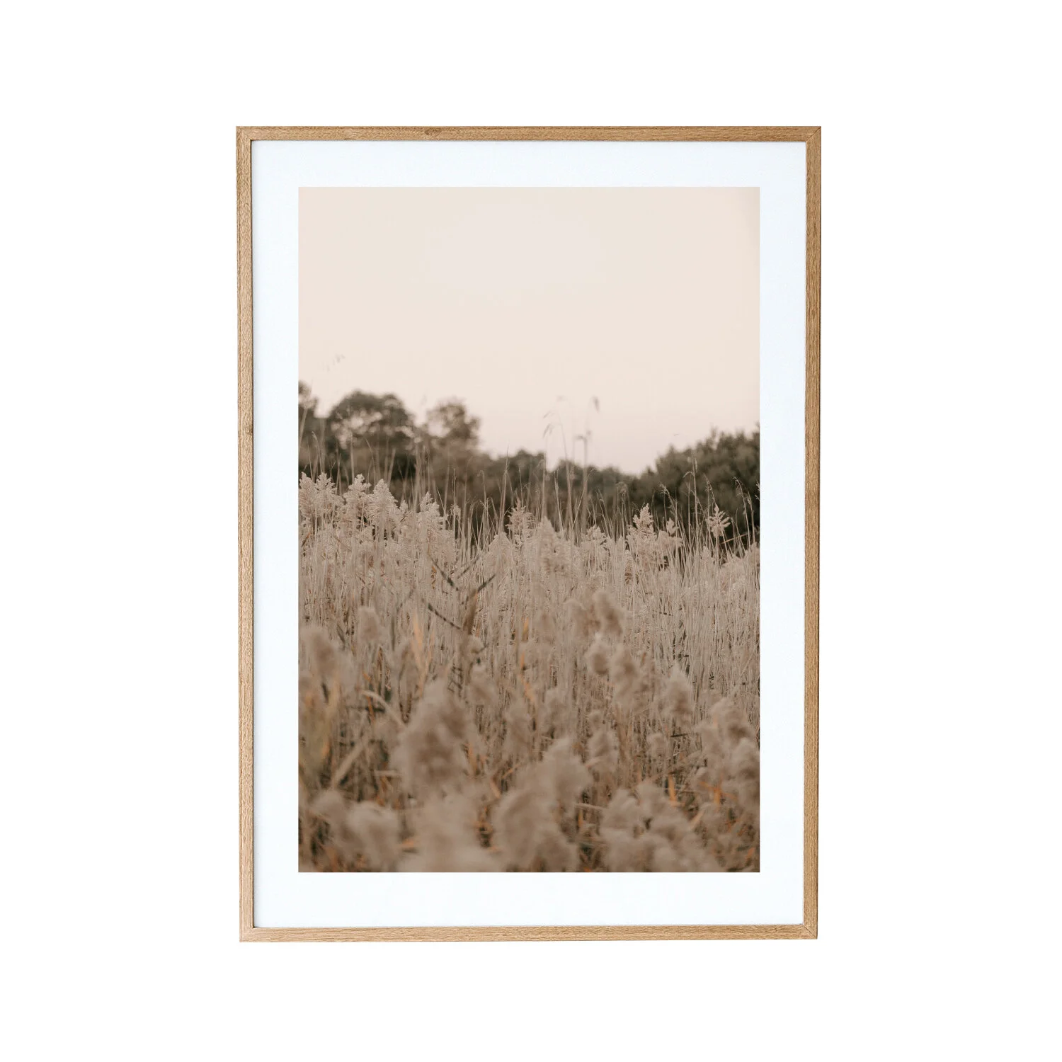 Peach_sky.jpg