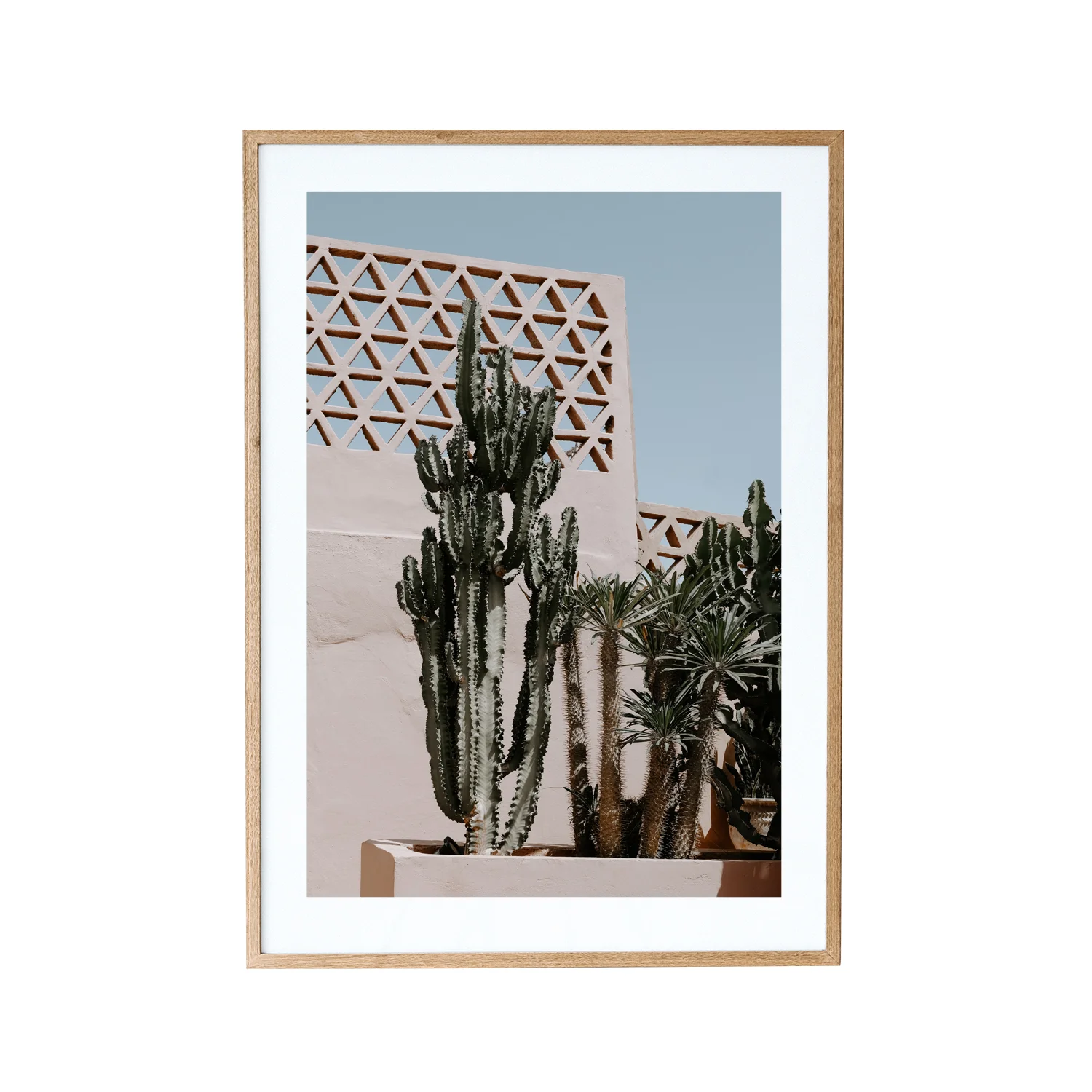 Pastel Cactus Garden