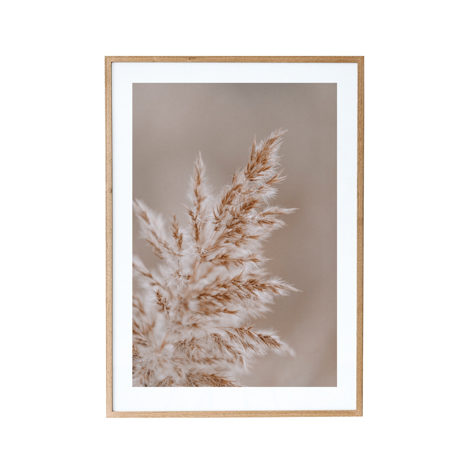 Sea-grass.jpg