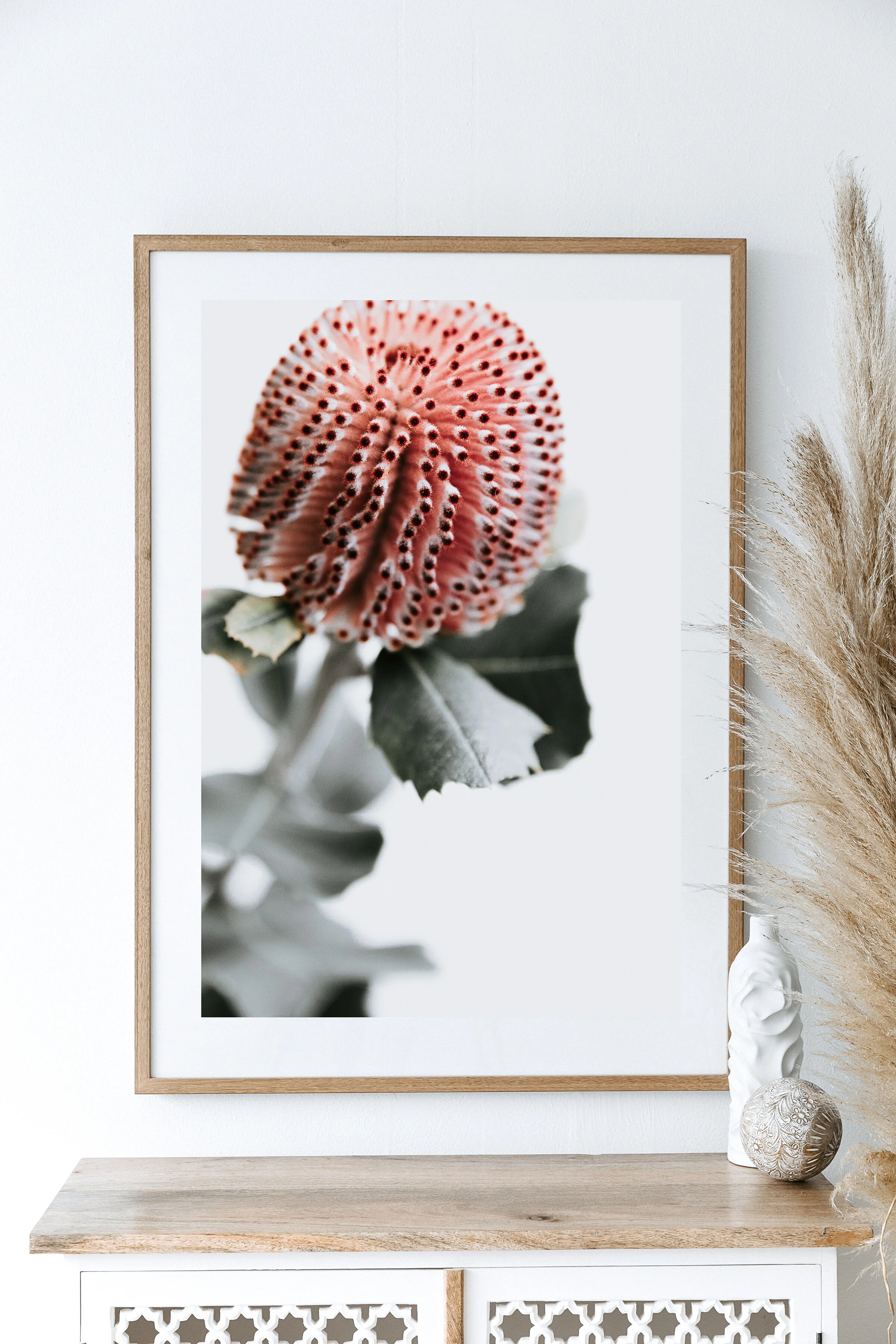 Australian-Native-Flower.jpg