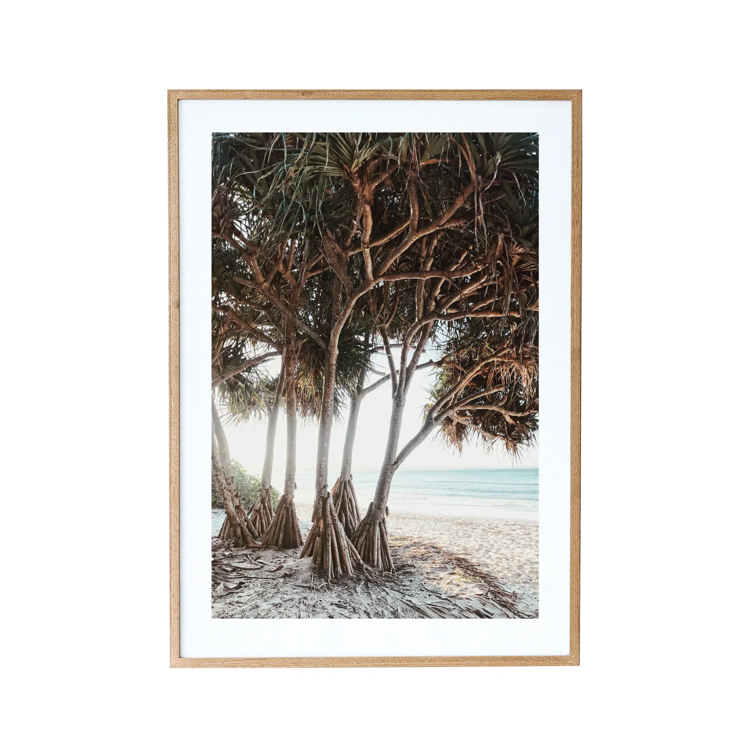 Beach life, Byron Bay