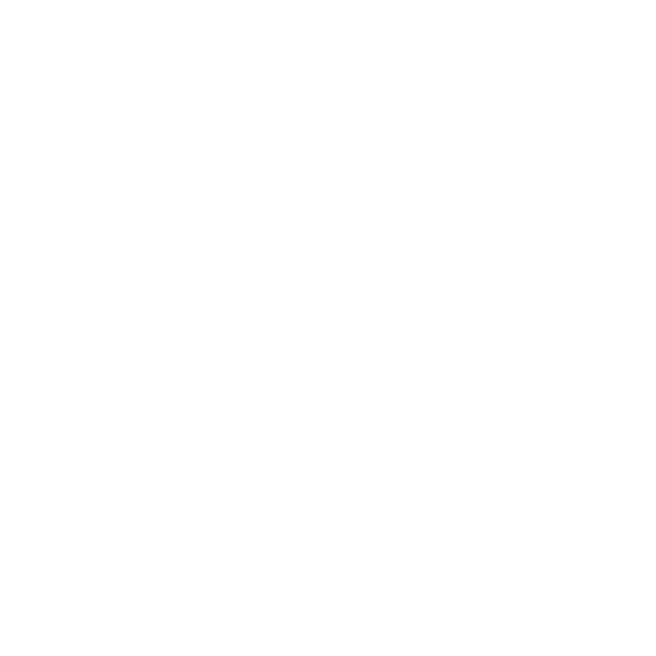 Platform Pizza