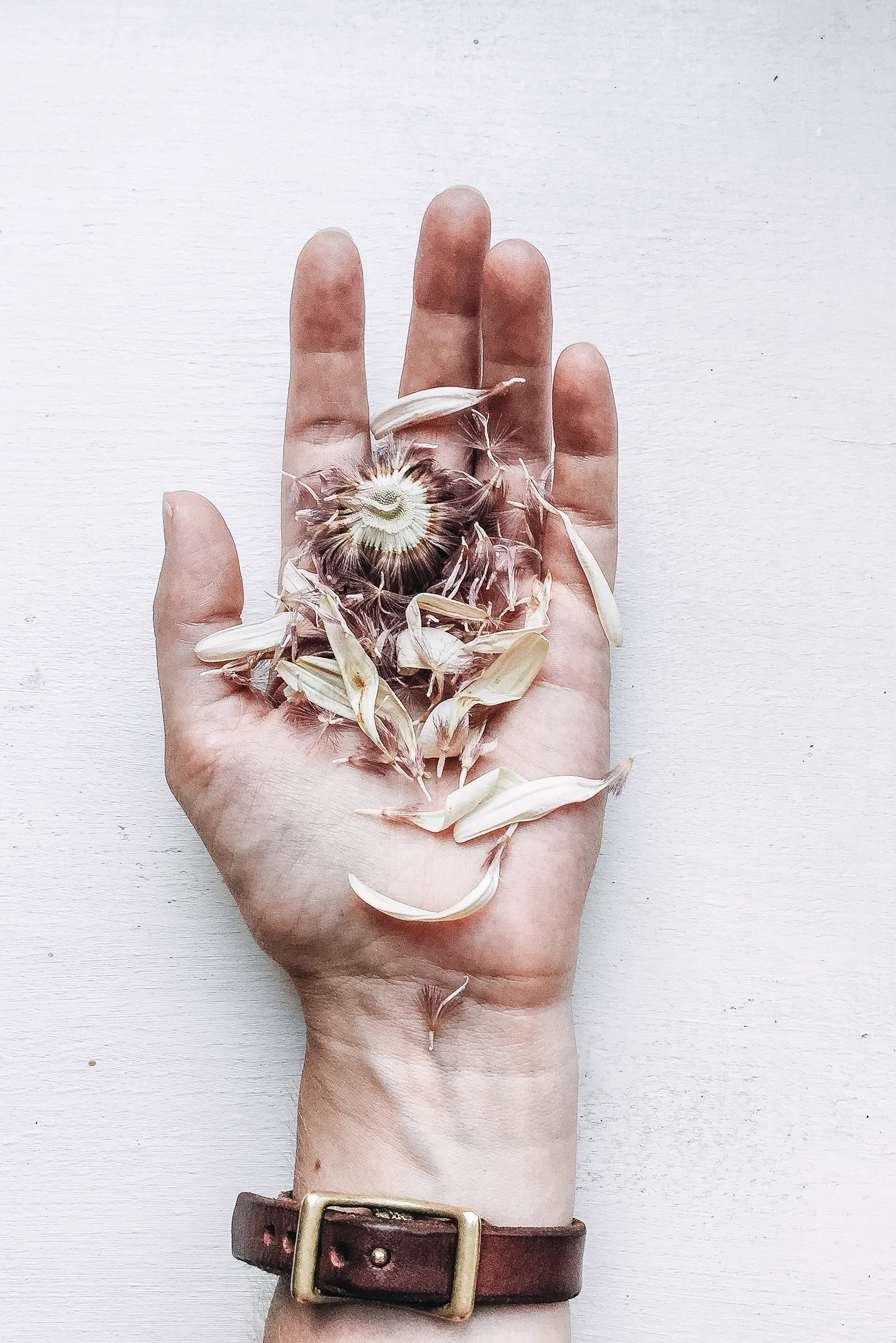 A bird in the hand