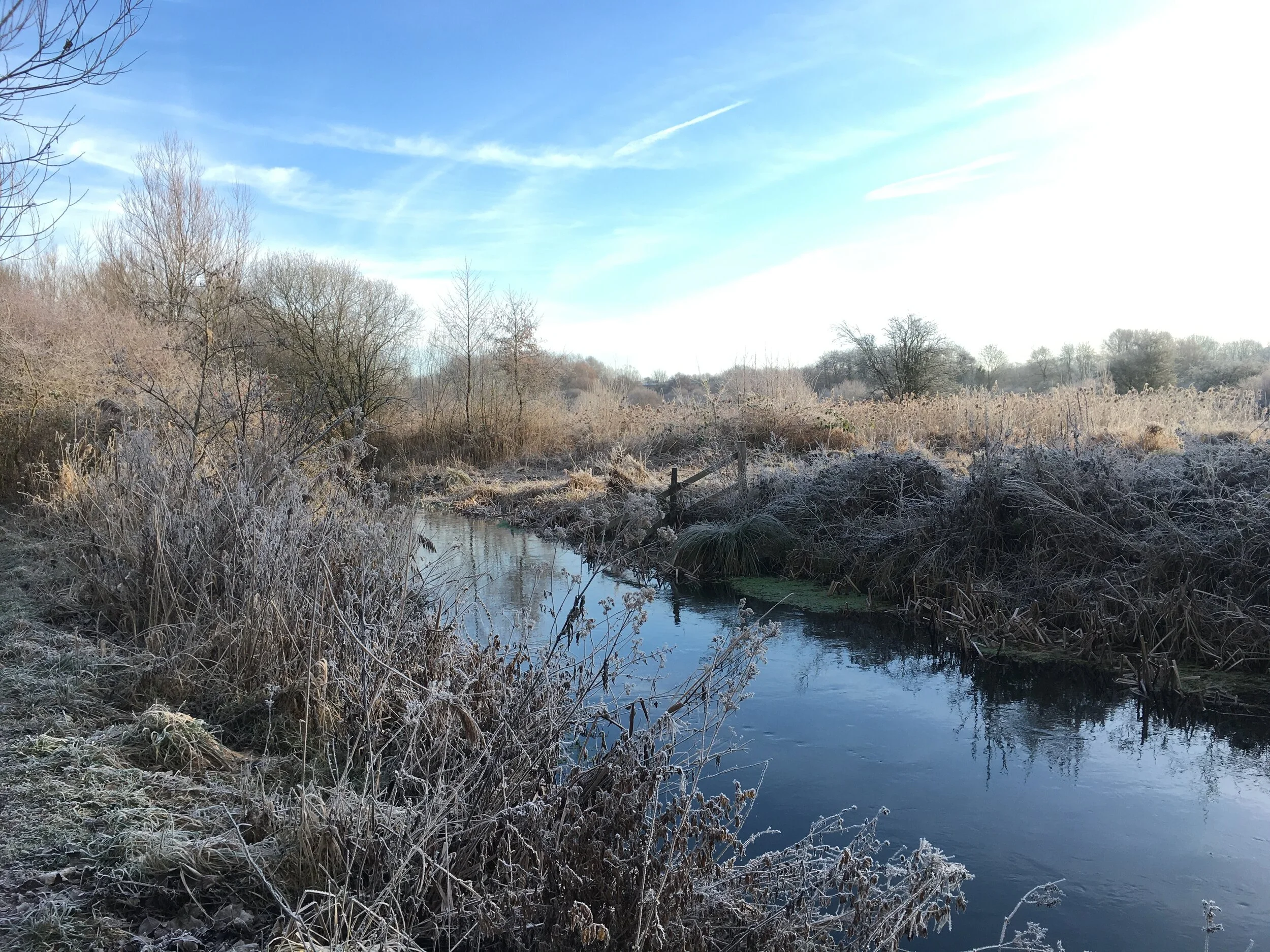 Chalk Talk: Hampshire's Prehistoric Ecosystem