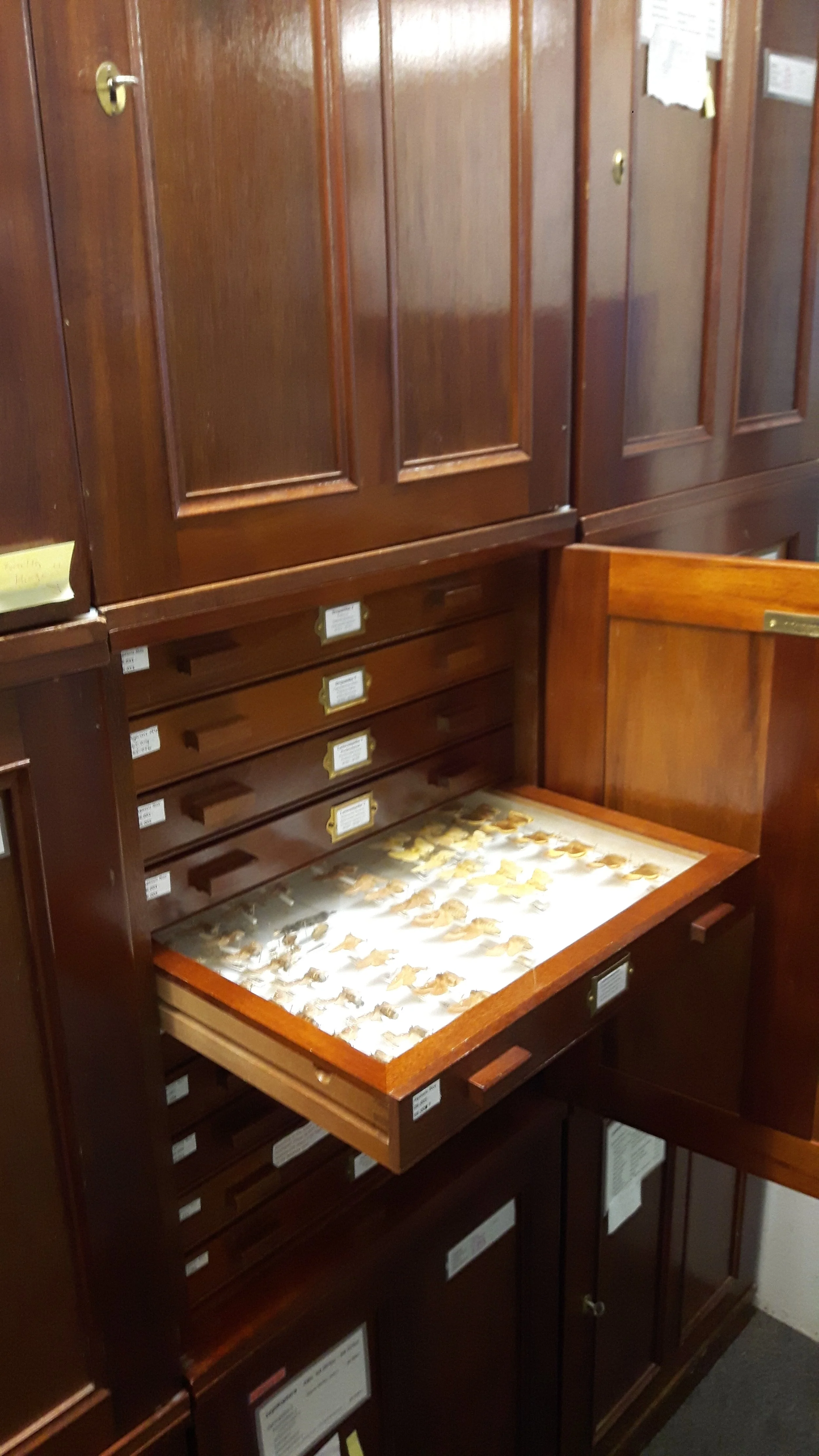 Hampshire Cultural Trust Store Tour (Fully Booked)