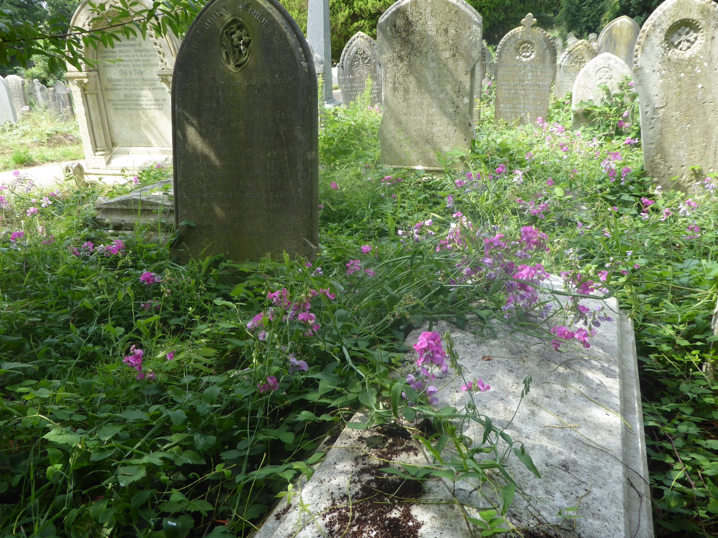 Heritage Weekend / 21st Year of FoSOC