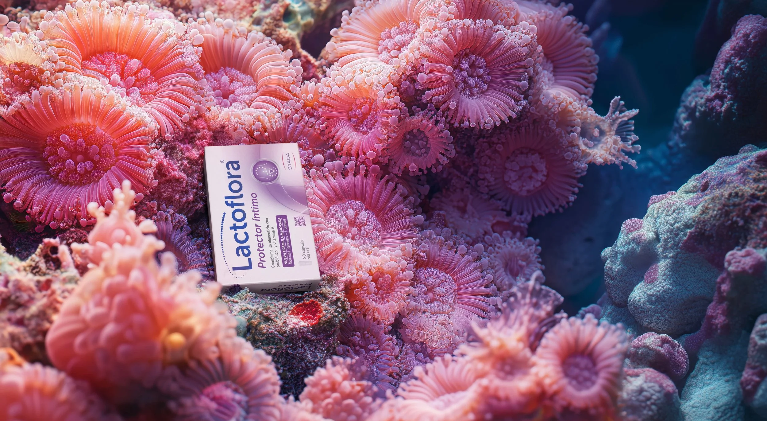 Lactoflora: Equilibra tu mundo.