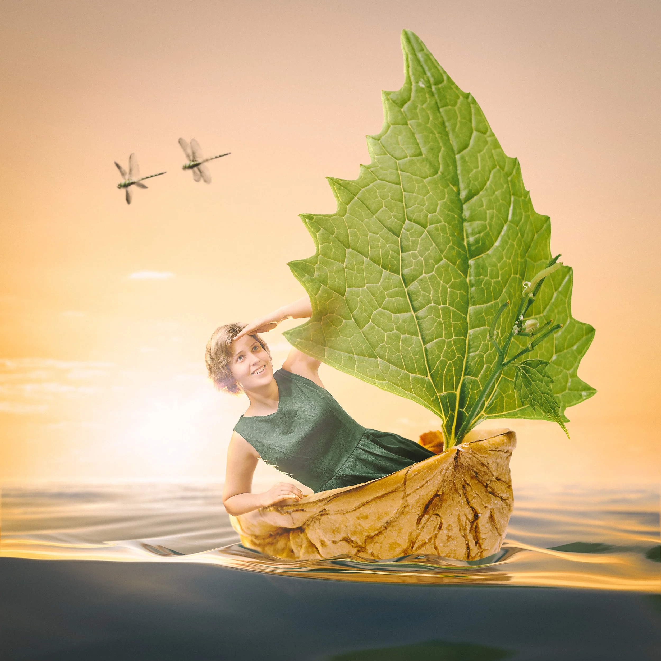 BobFzbL_composite-6.jpg
